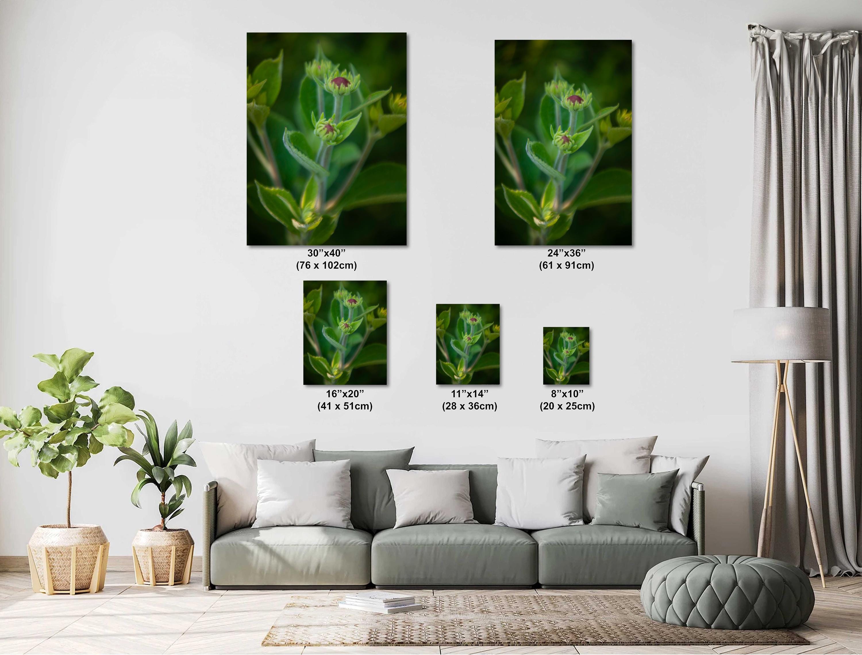 Yellow Coneflower Print – Wildflower Wall Art on Archival Paper for Garden Decor