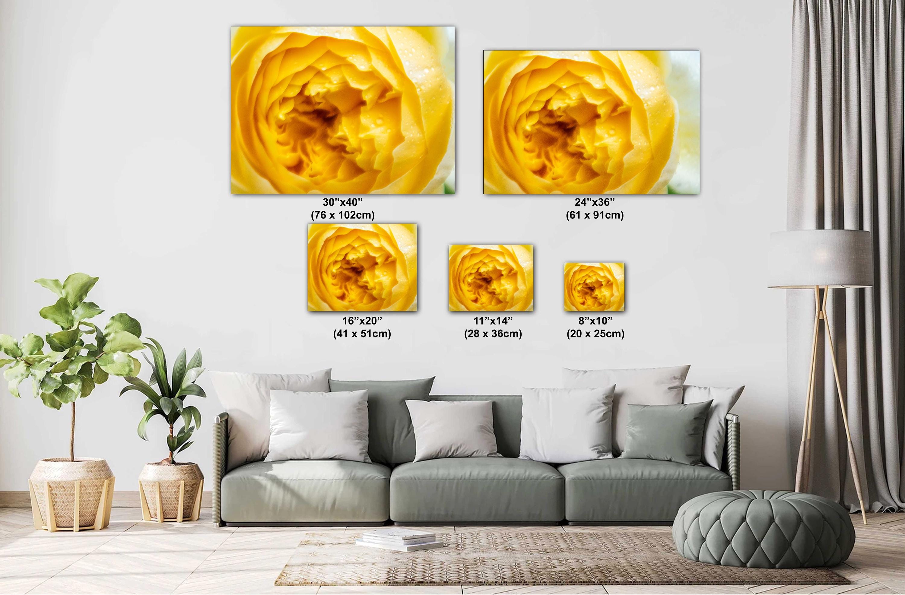 Yellow Rose Wall Art – Vibrant Floral Photography Print | Modern Home Decor