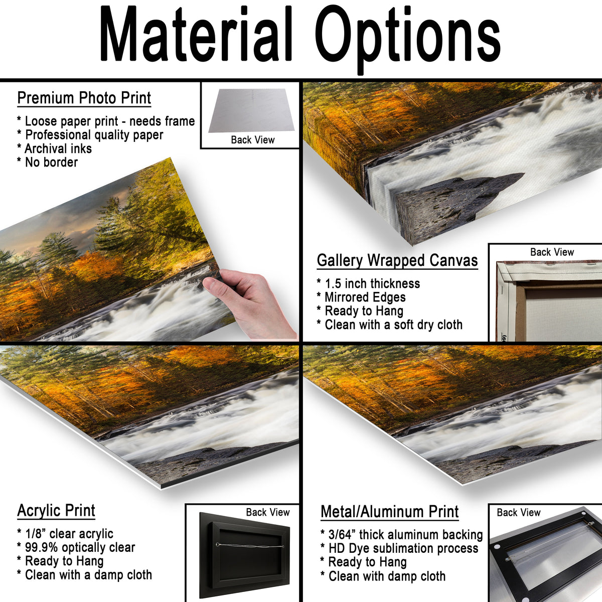 When Autumn Hushed the River: A Soft Descent Through Pines