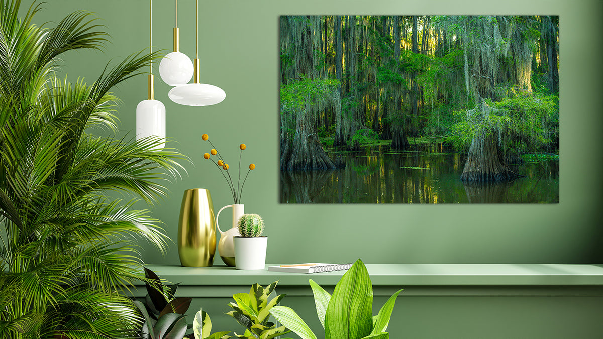 Serene Swamp Wall Art — Cypress Trees, Moss and Water Reflection