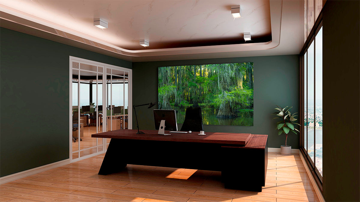 Serene Swamp Wall Art — Cypress Trees, Moss and Water Reflection