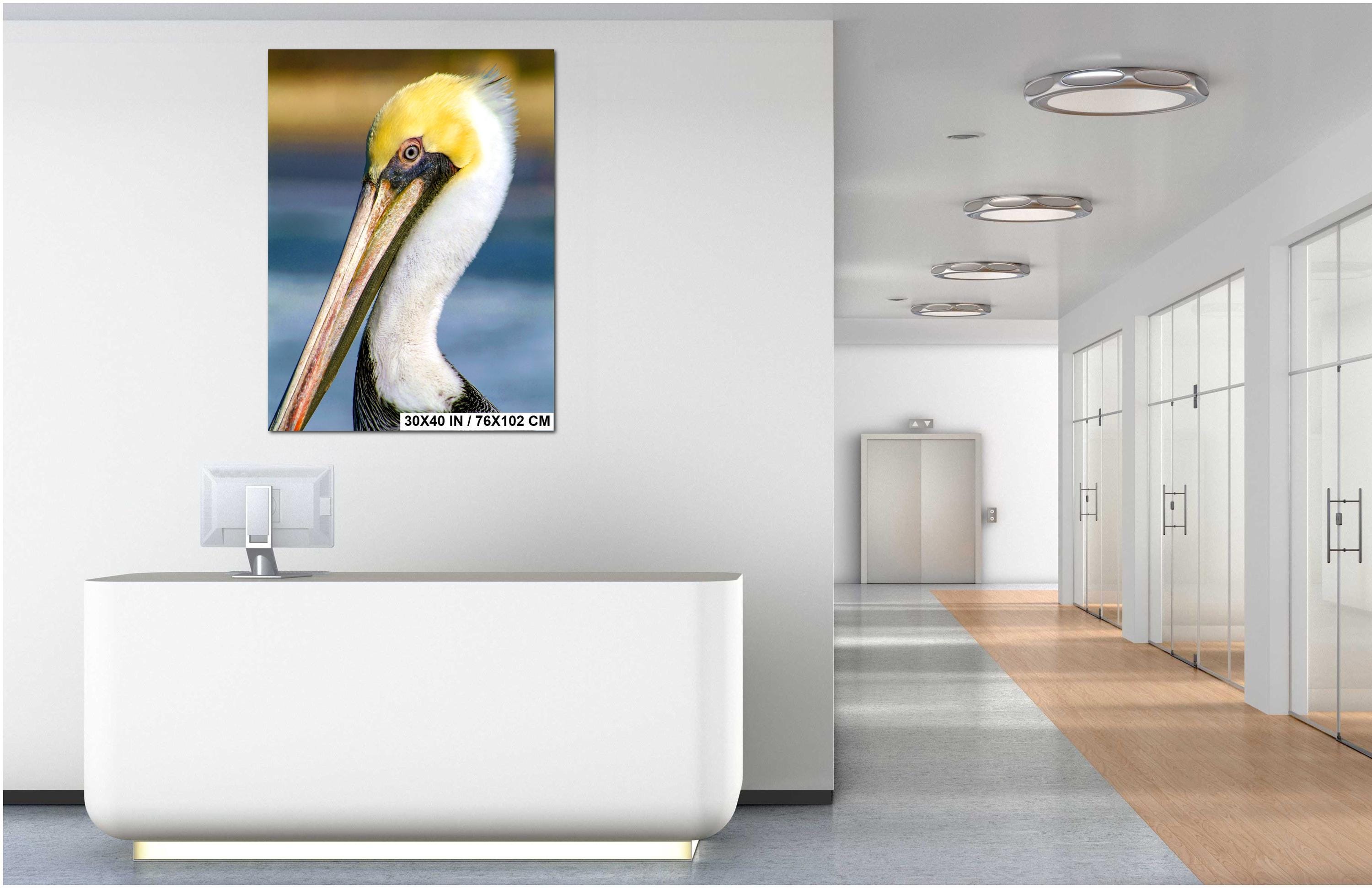 Pelican Wall Art - California Coastal Bird Photography Print | Wildlife Decor