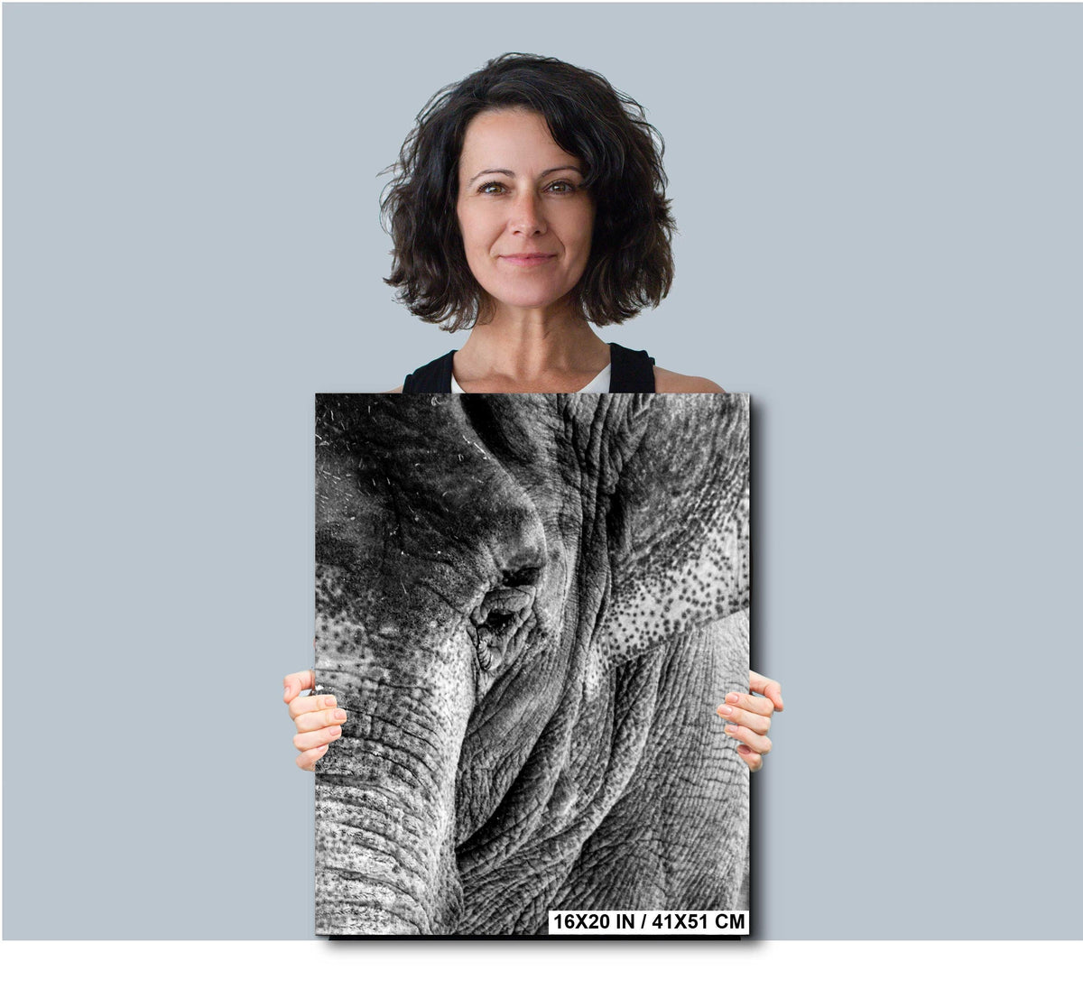 Elephant Wall Art – Majestic Wildlife Print | African Safari Home Decor