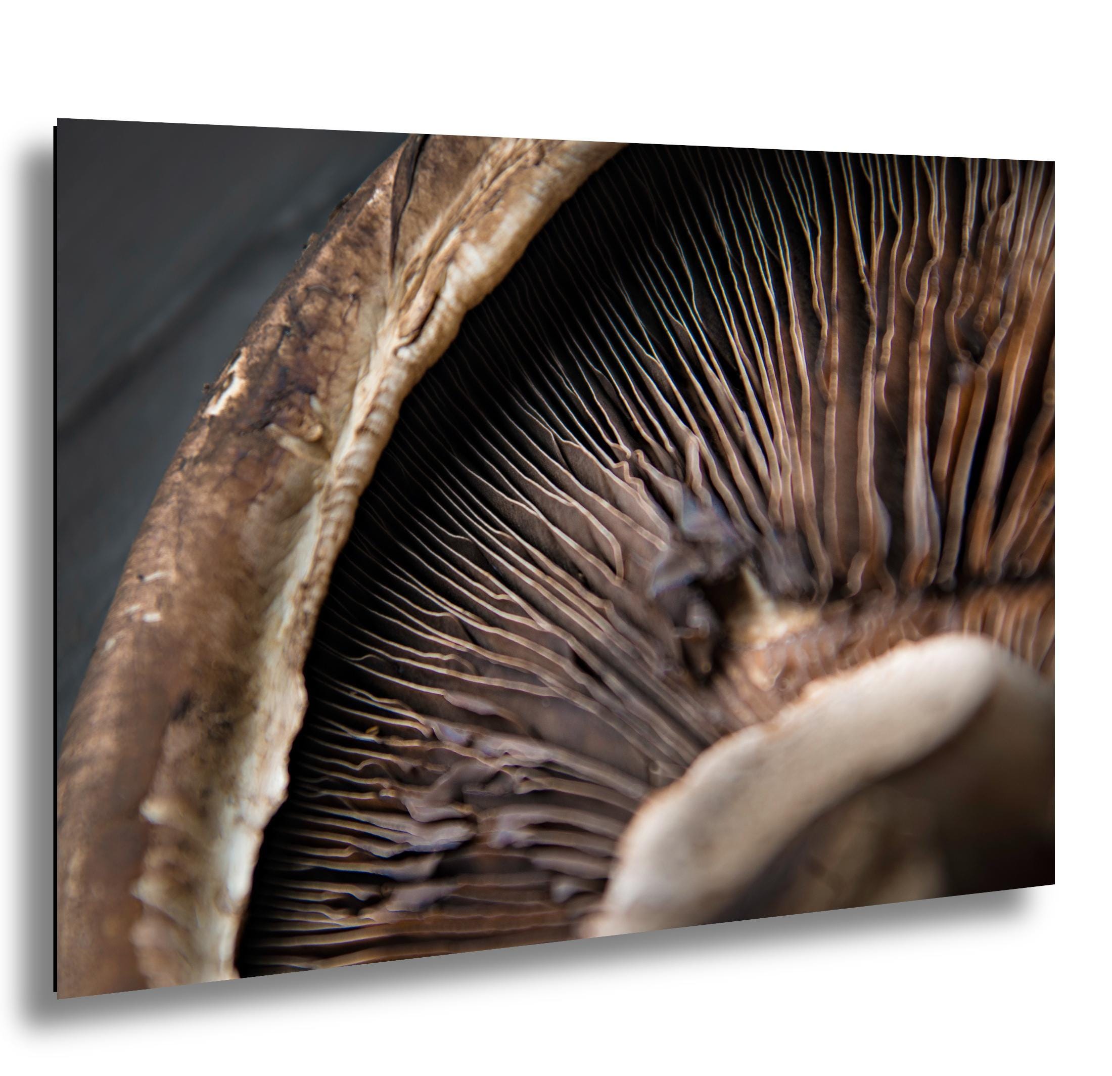 Raw Food Photography Print - Abstract Kitchen Wall Art | Organic Still Life Photo