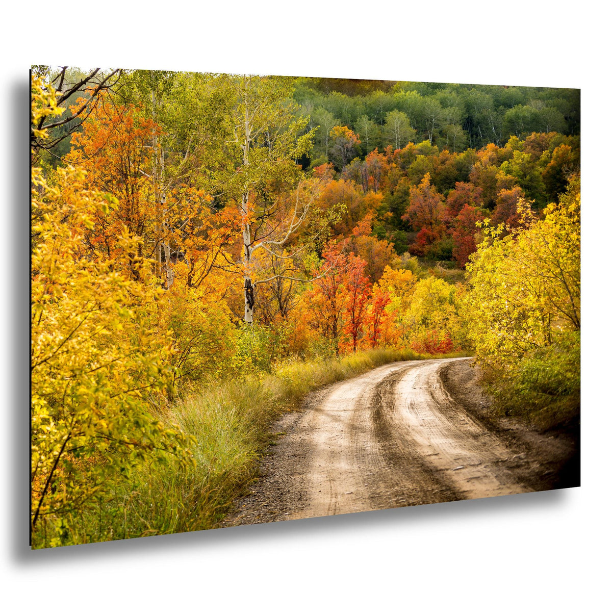 Wasatch Mountain Photography - Utah Autumn Art | Scenic Fall Landscape Print