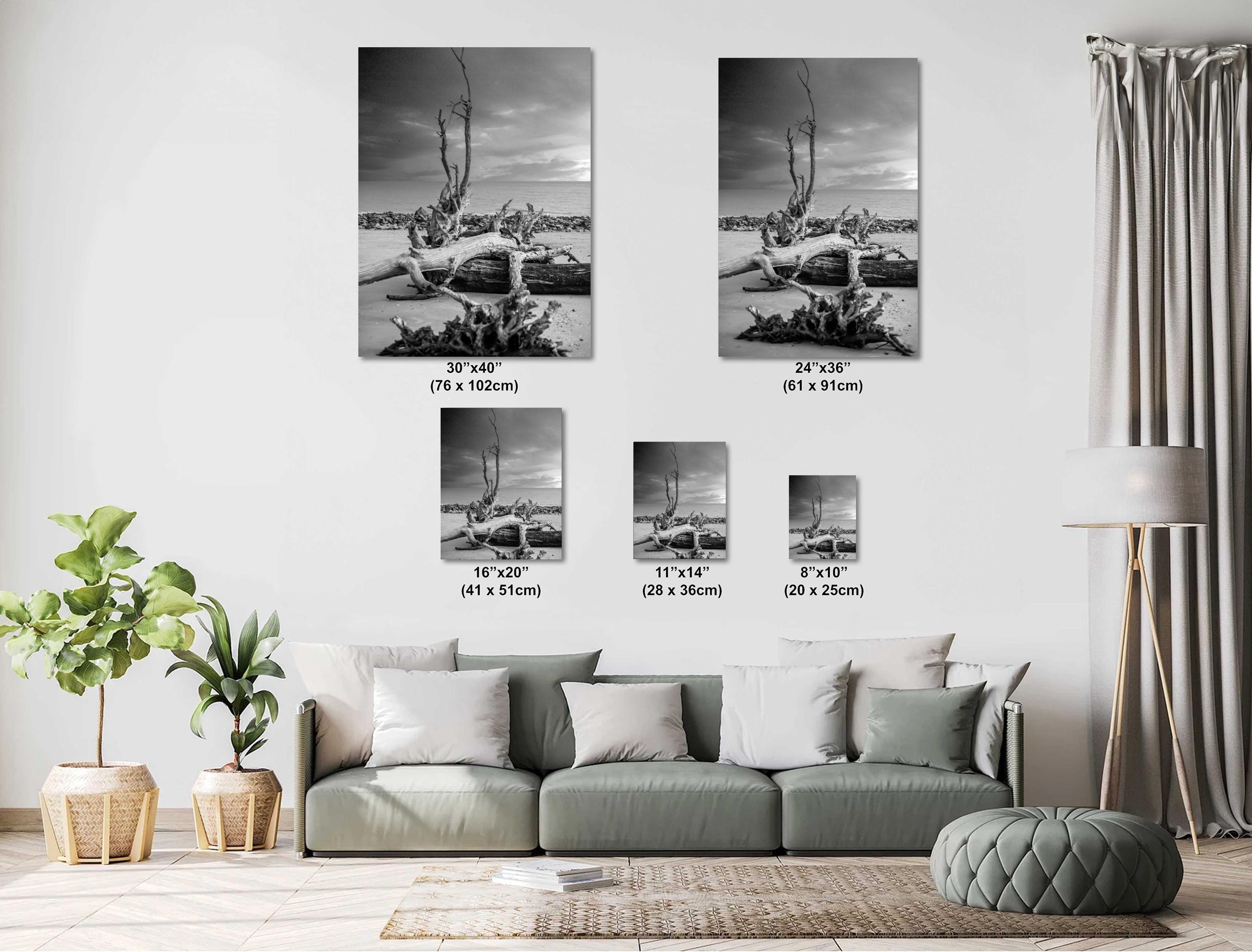 Driftwood Beach Print - Georgia Coastal Landscape Art | Seaside Wall Photo