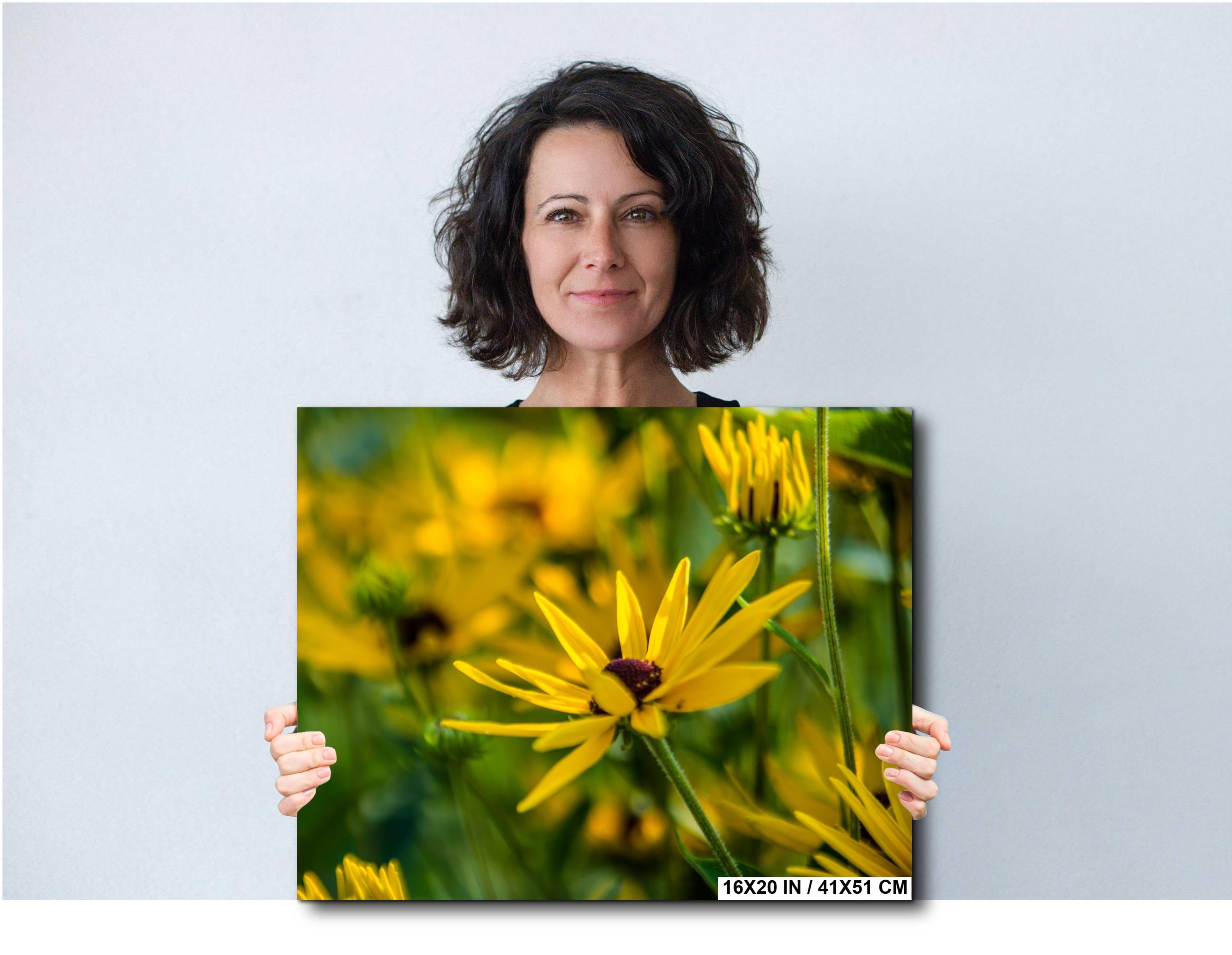 Yellow Coneflower Print - Wildflower Wall Art | Botanical Wall Decor & Floral Photography