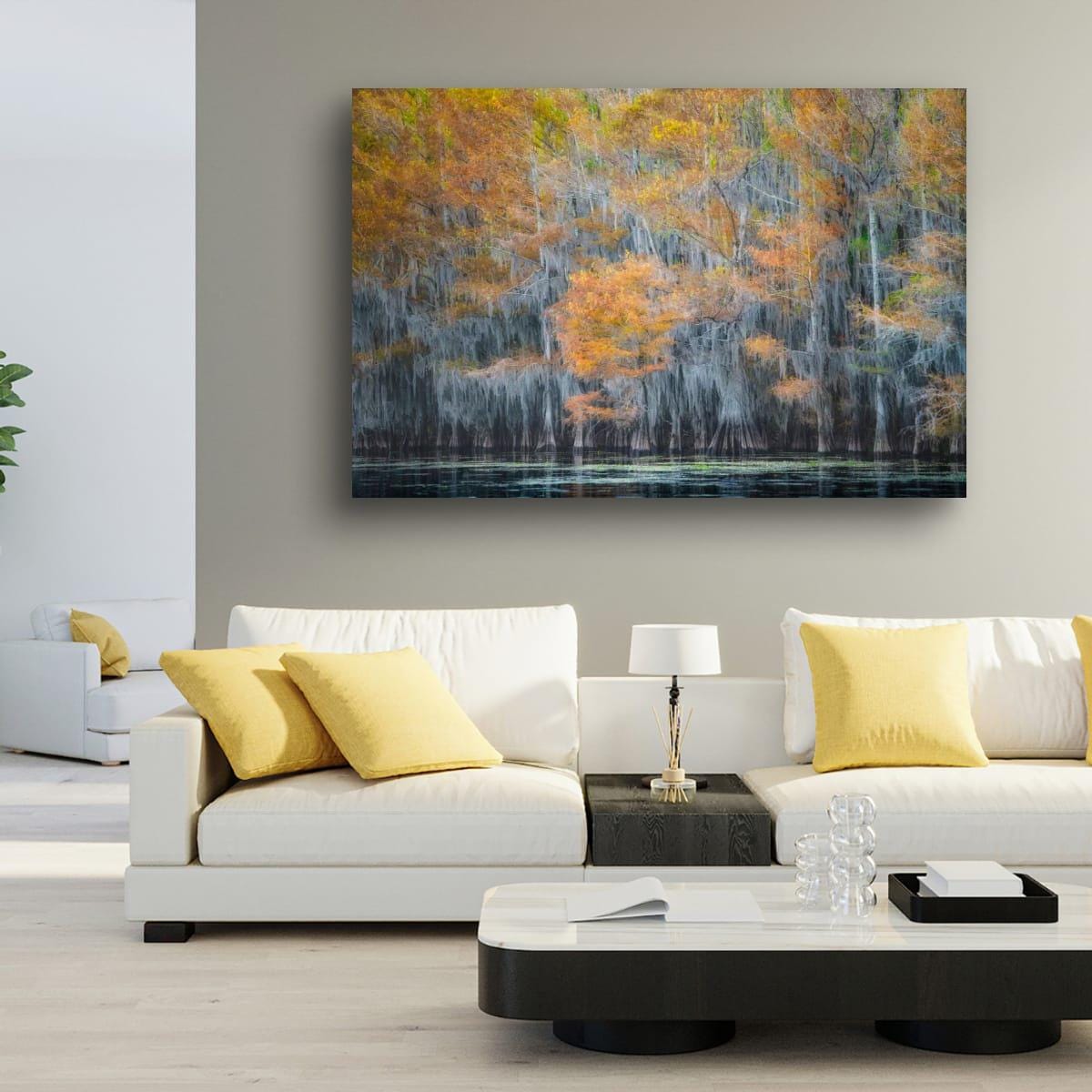 Lake Caddo Photography Print – Cypress Swamp Art | Texas Nature Decor