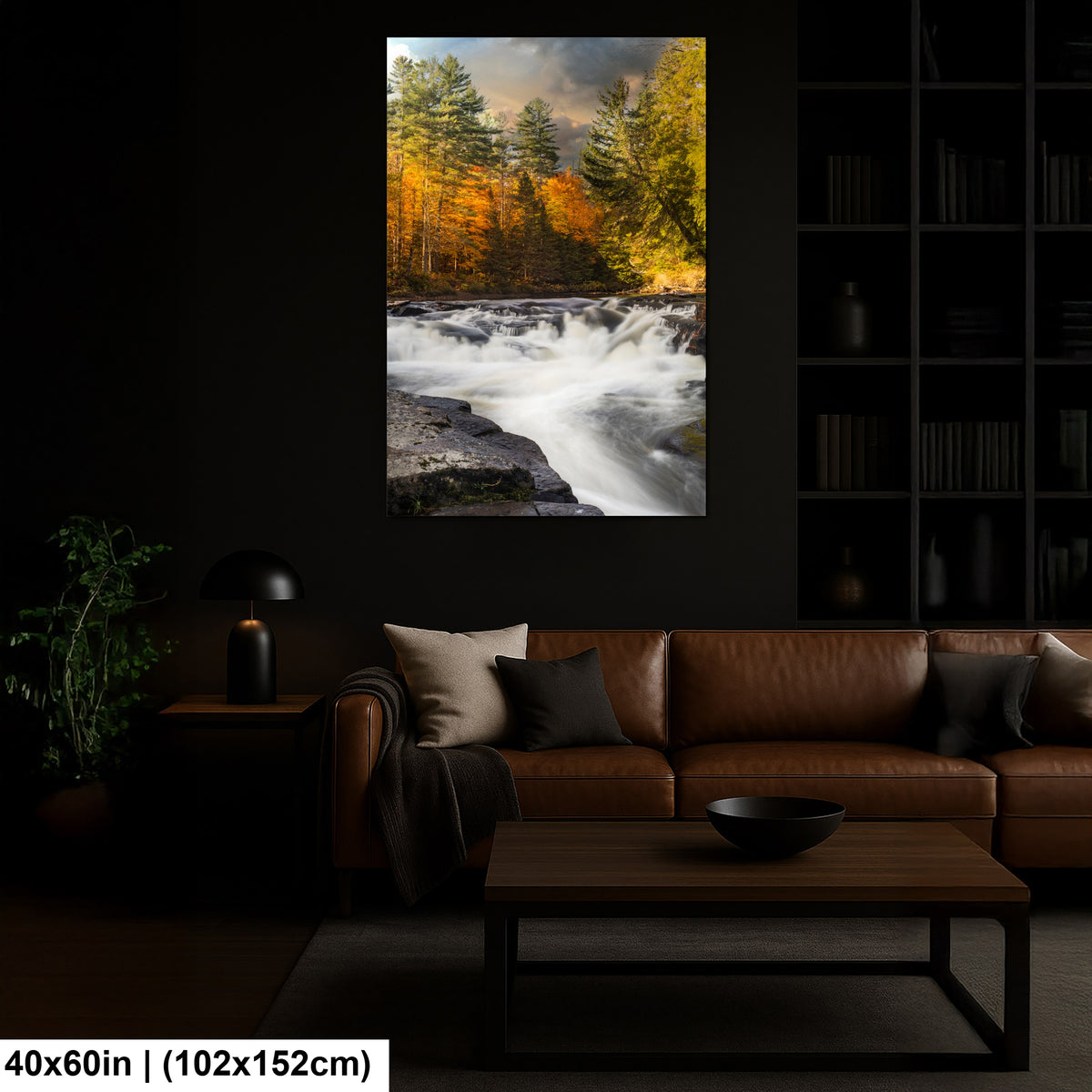 When Autumn Hushed the River: A Soft Descent Through Pines