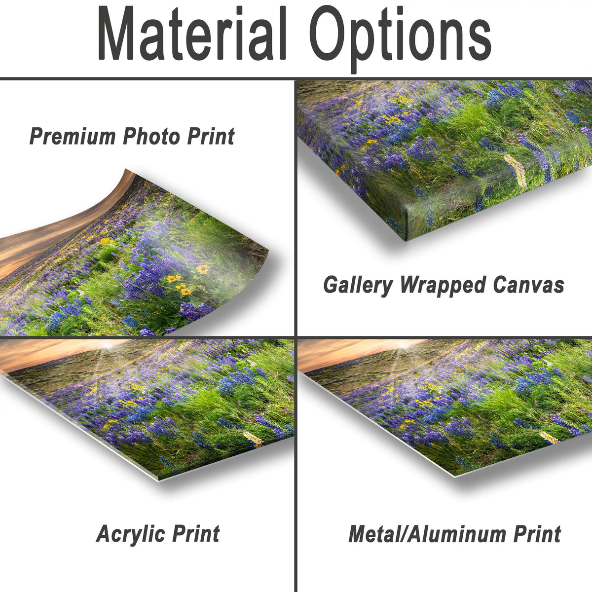 Idaho Floral Wall Art – Colorful Lupine Flower Print | Botanical Nature Artwork
