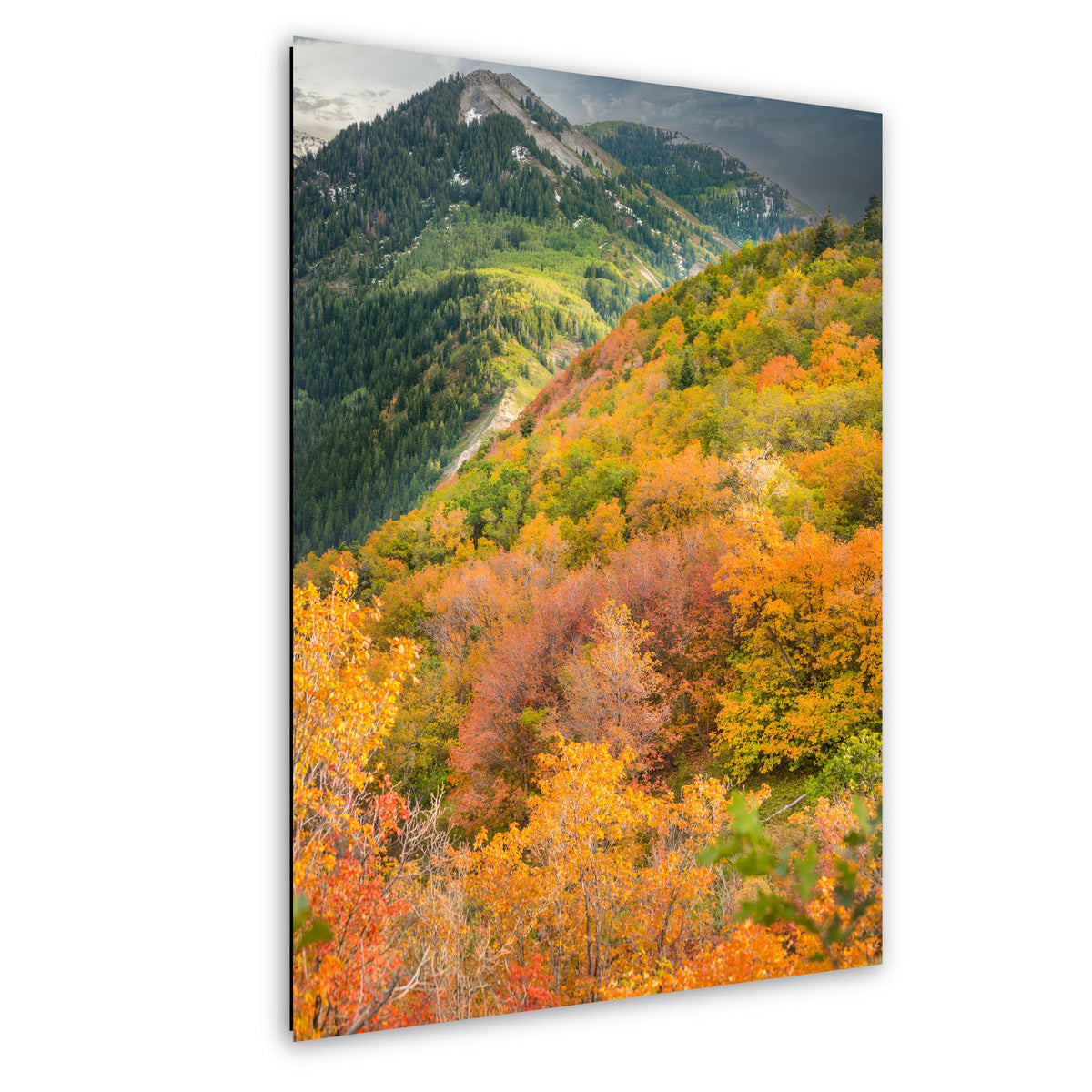 Wasatch Autumn Art – Mountain Landscape Print With Vibrant Leaf Colors