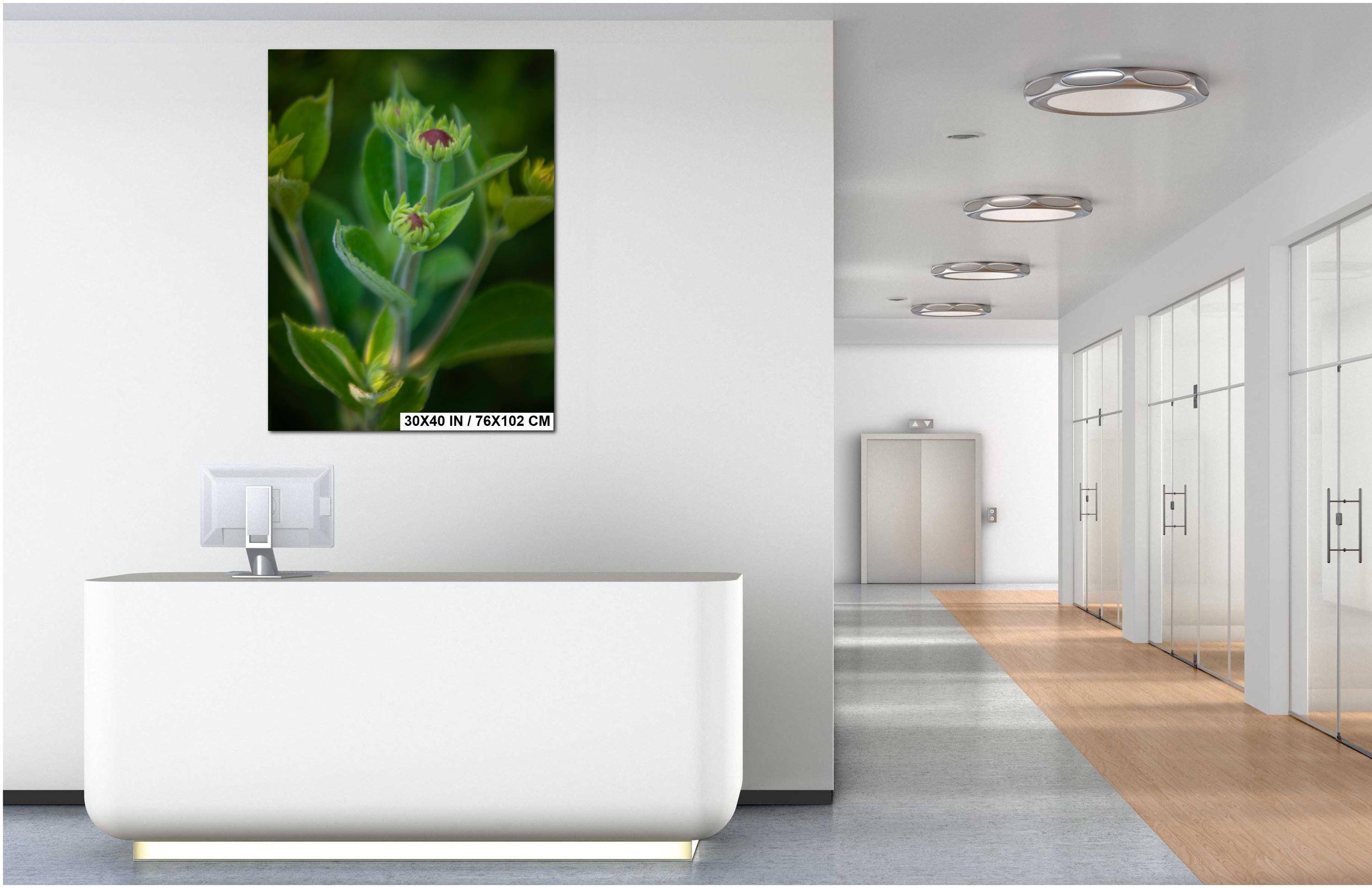Yellow Coneflower Print – Wildflower Wall Art on Archival Paper for Garden Decor