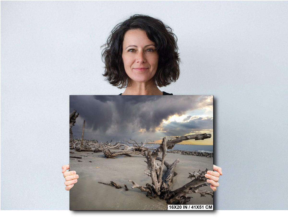 Coastal Driftwood Print – Georgia Landscape Photography Art | Beach Wall Decor