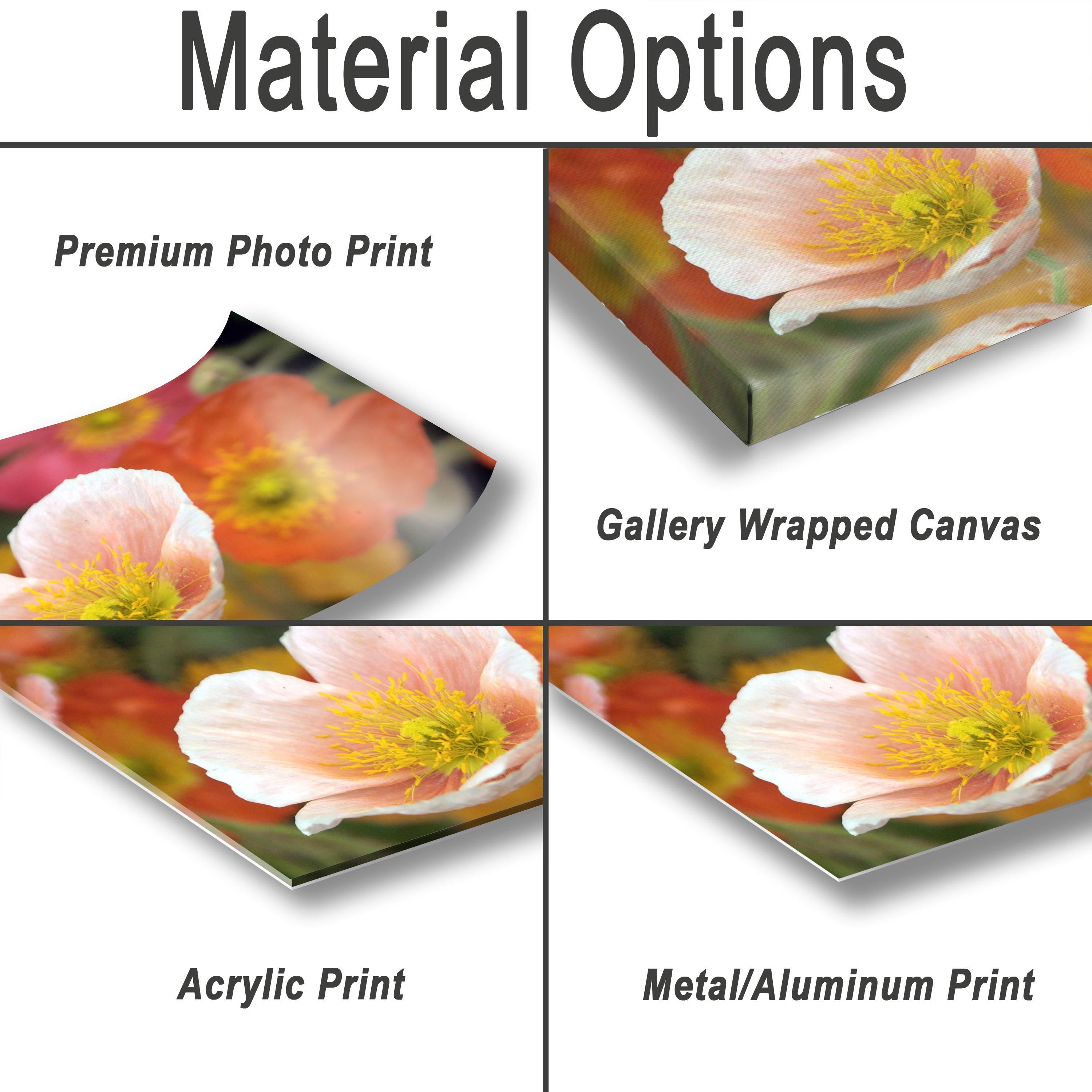 Floral Photography Print – Colorful Botanical Wall Art Decor | Vibrant Flower Artwork