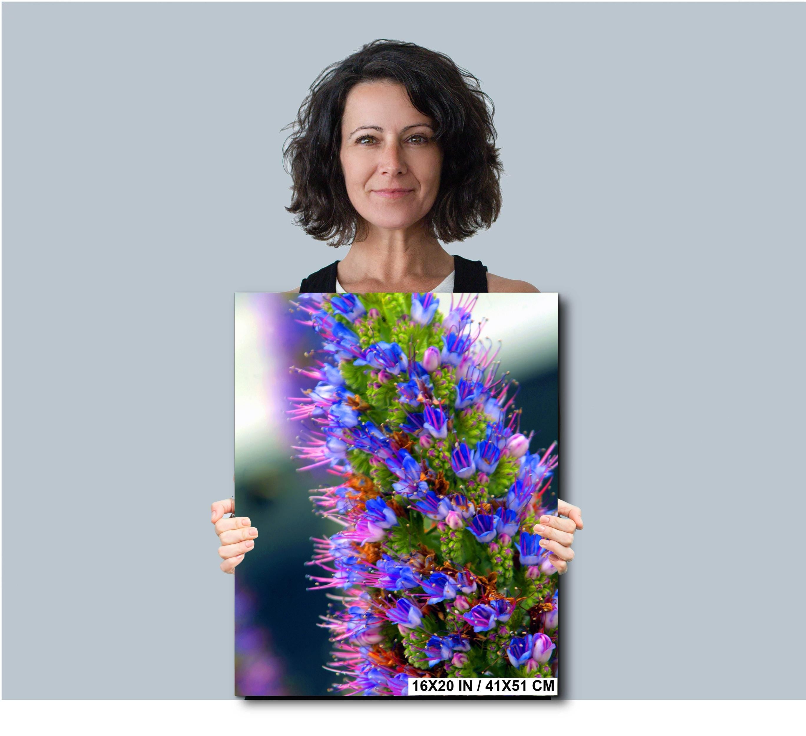 Texas Wildflower Wall Art – Colorful Floral Photography Print | Botanical Photo Print