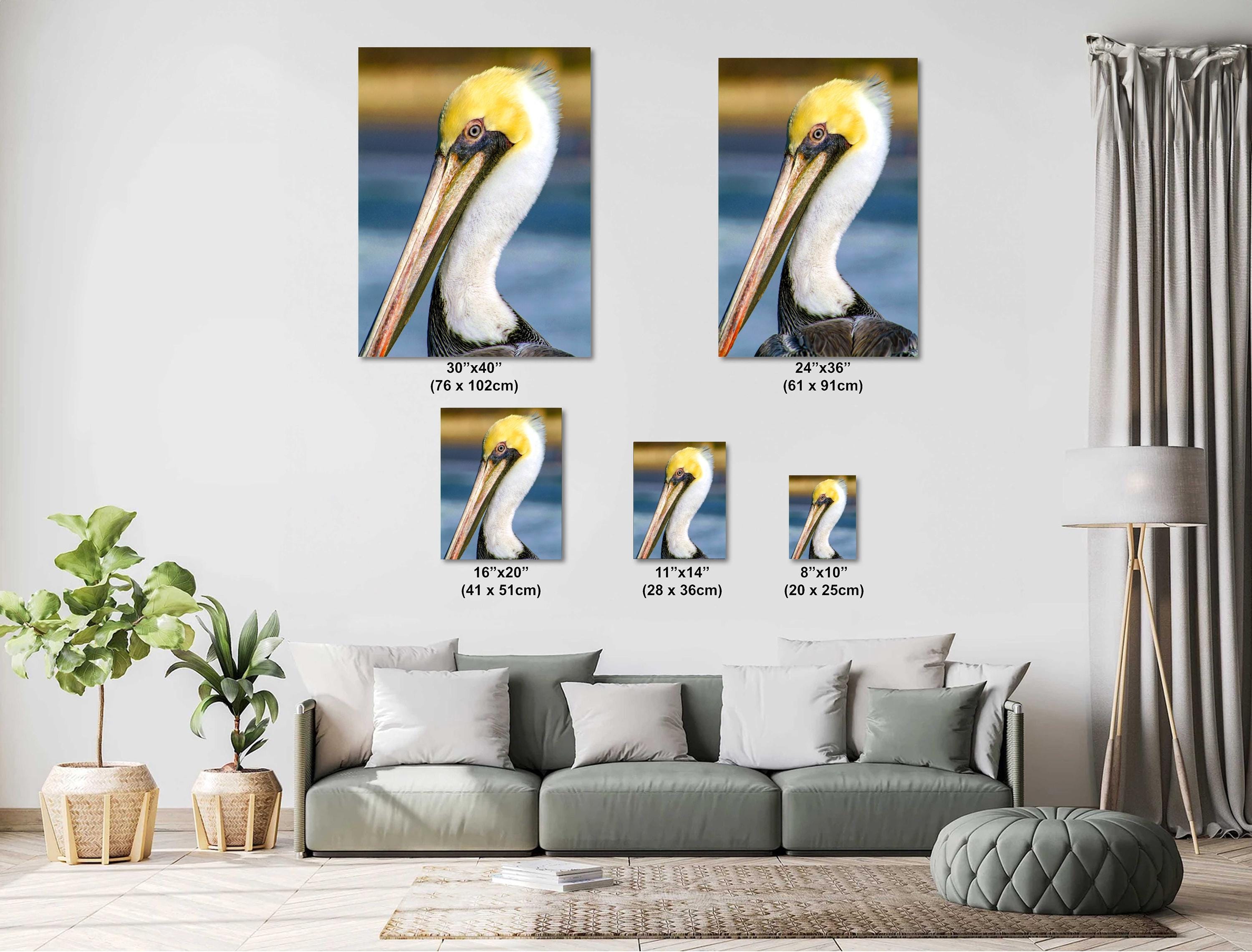 Pelican Wall Art - California Coastal Bird Photography Print | Wildlife Decor