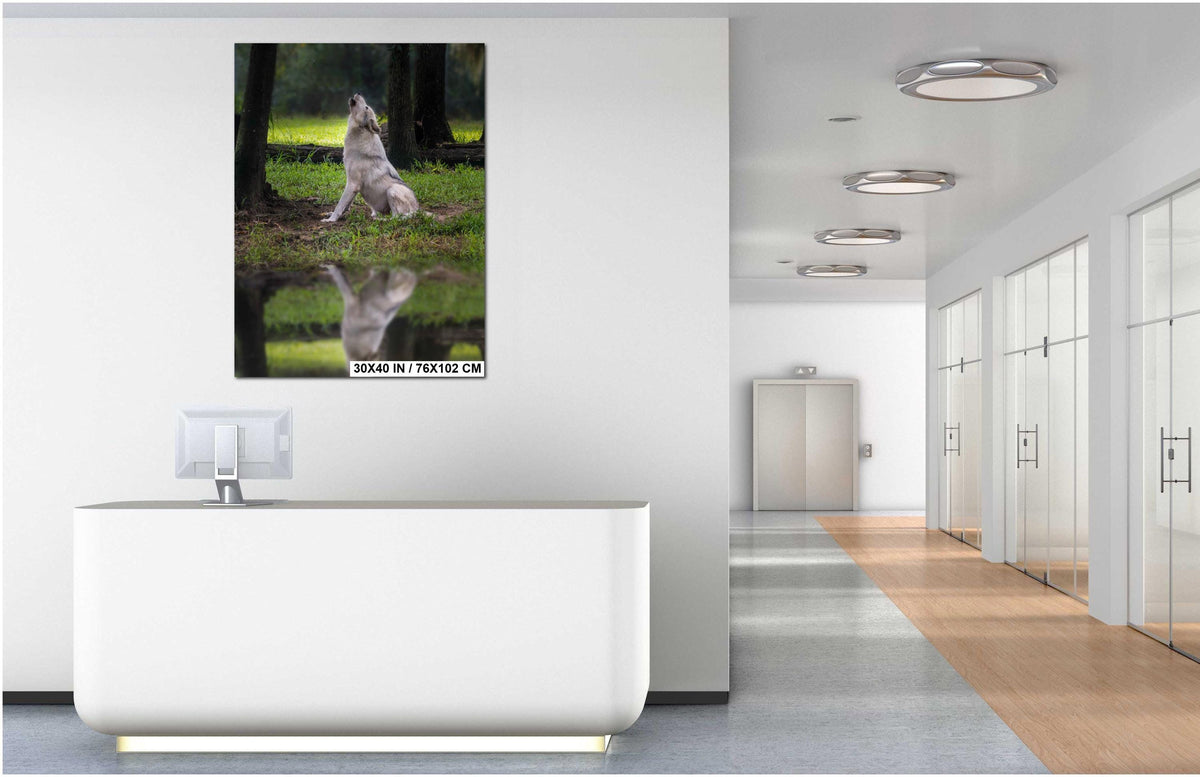 Gray Wolf Art Print - Wildlife Photography Print | Coastal Forest Decor