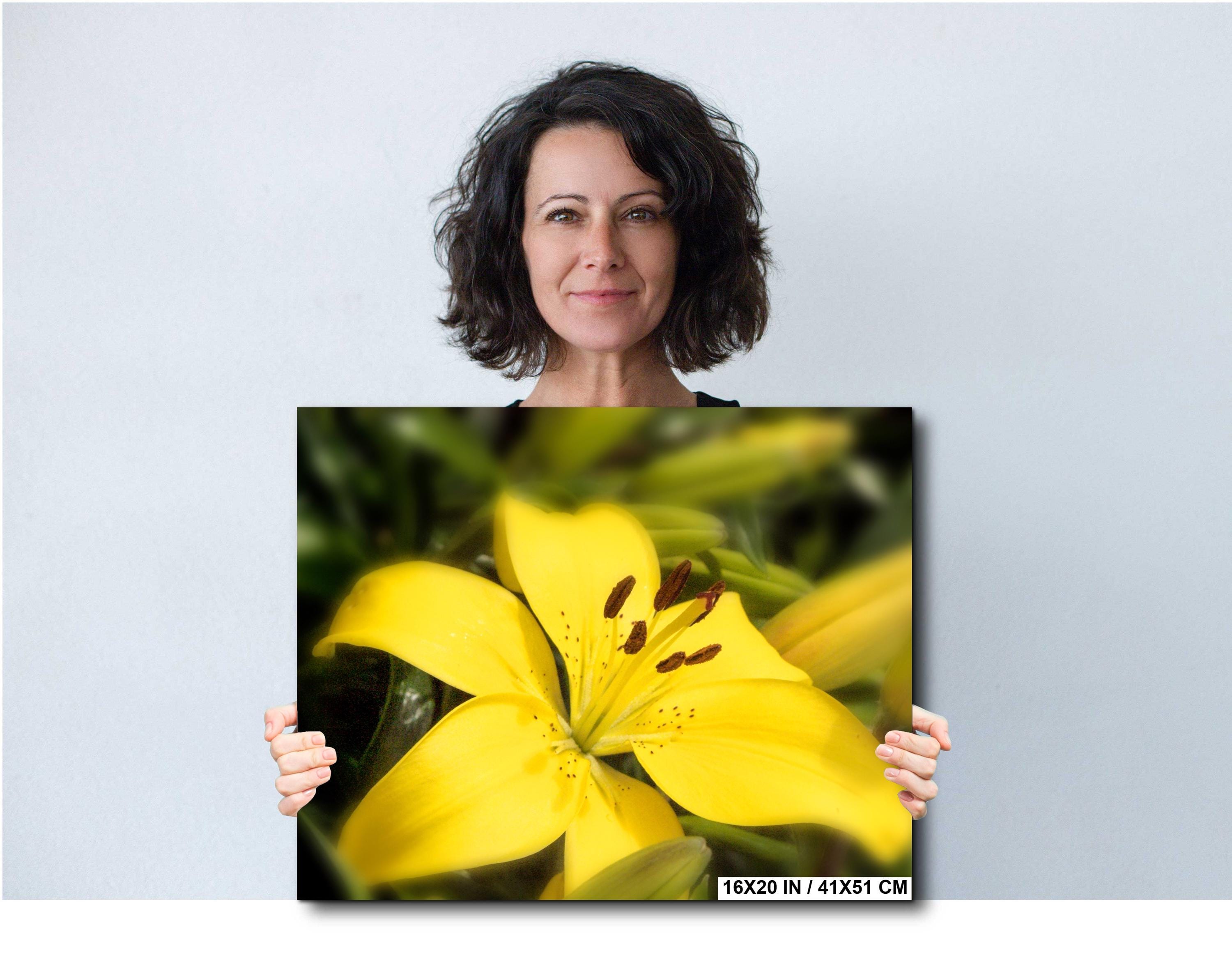 Floral Photography Print – Colorful Botanical Wall Art with Bloom Decor