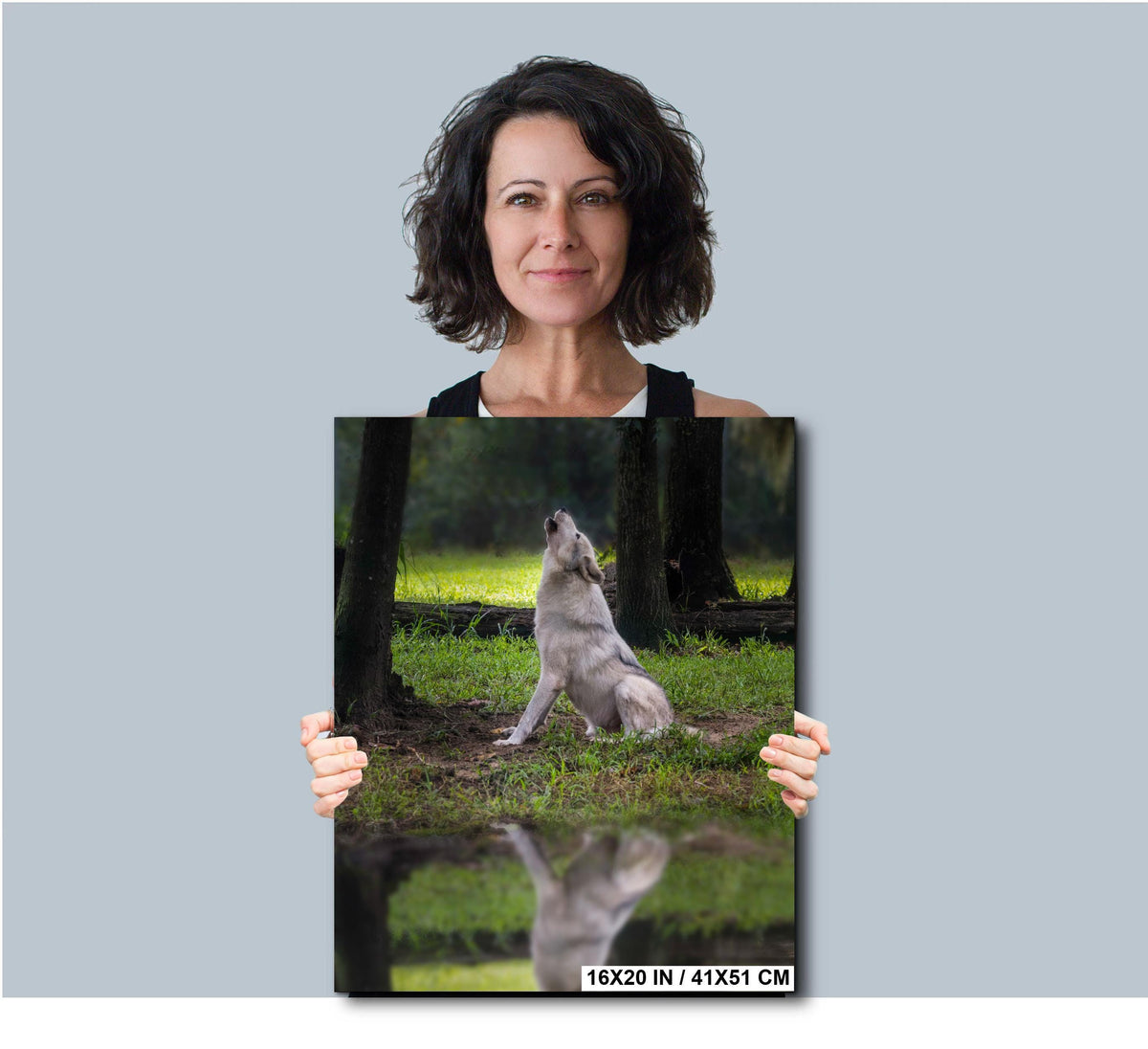Gray Wolf Art Print - Wildlife Photography Print | Coastal Forest Decor