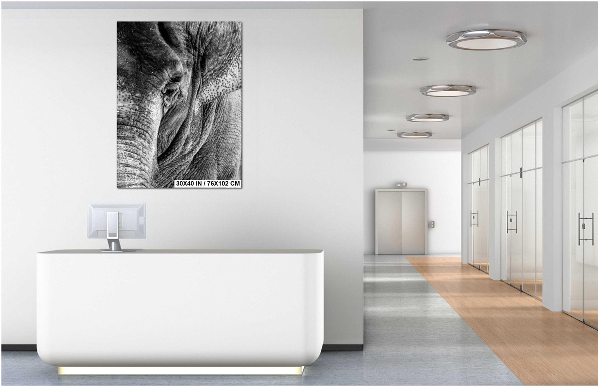 Elephant Wall Art – Majestic Wildlife Print | African Safari Home Decor