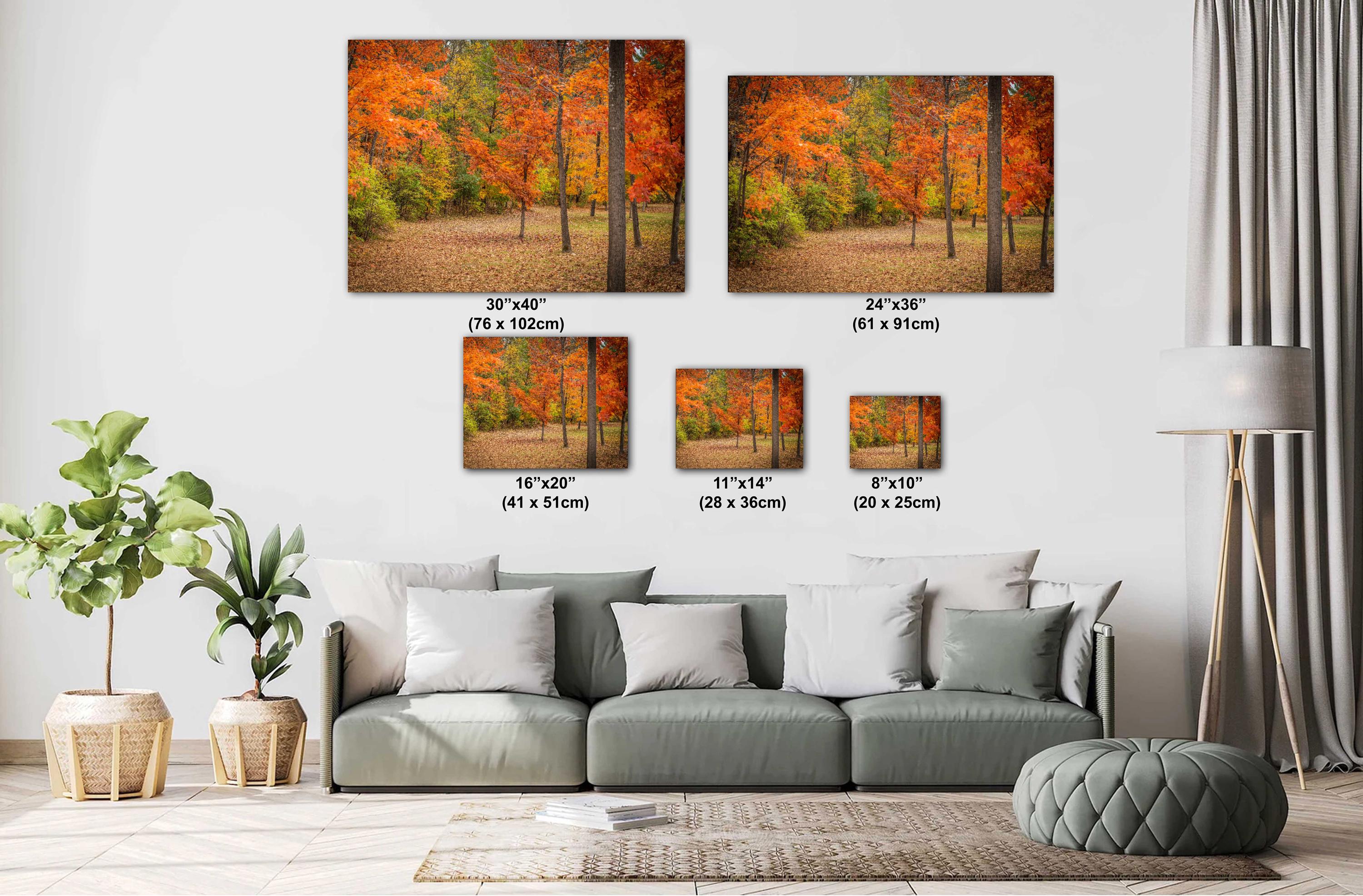 Adirondack Autumn Print – Fall Foliage Art | Scenic New York Landscape Wall Decor