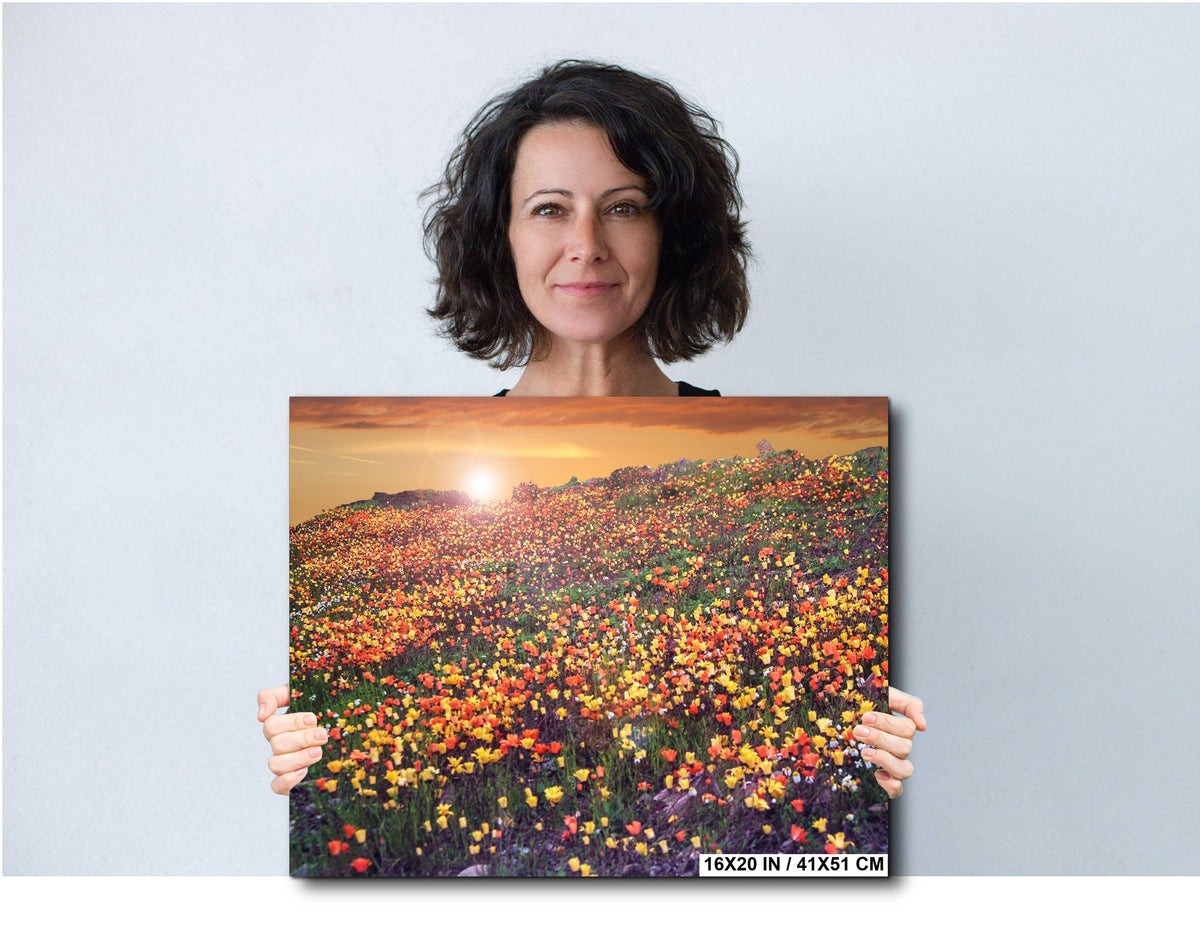 Floral Photography Print – California Poppies Botanical Wall Art Decor