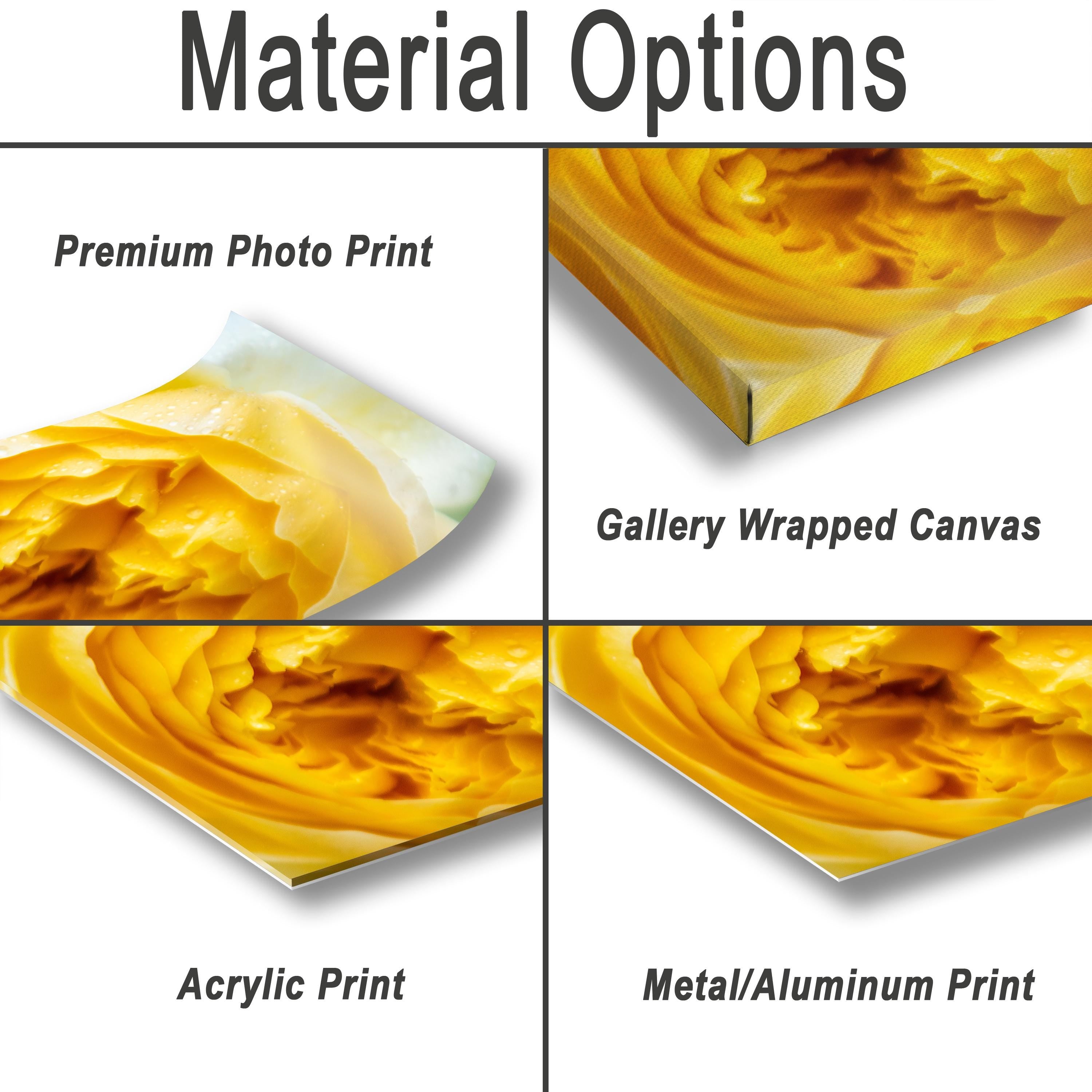 Yellow Rose Wall Art – Vibrant Floral Photography Print | Modern Home Decor