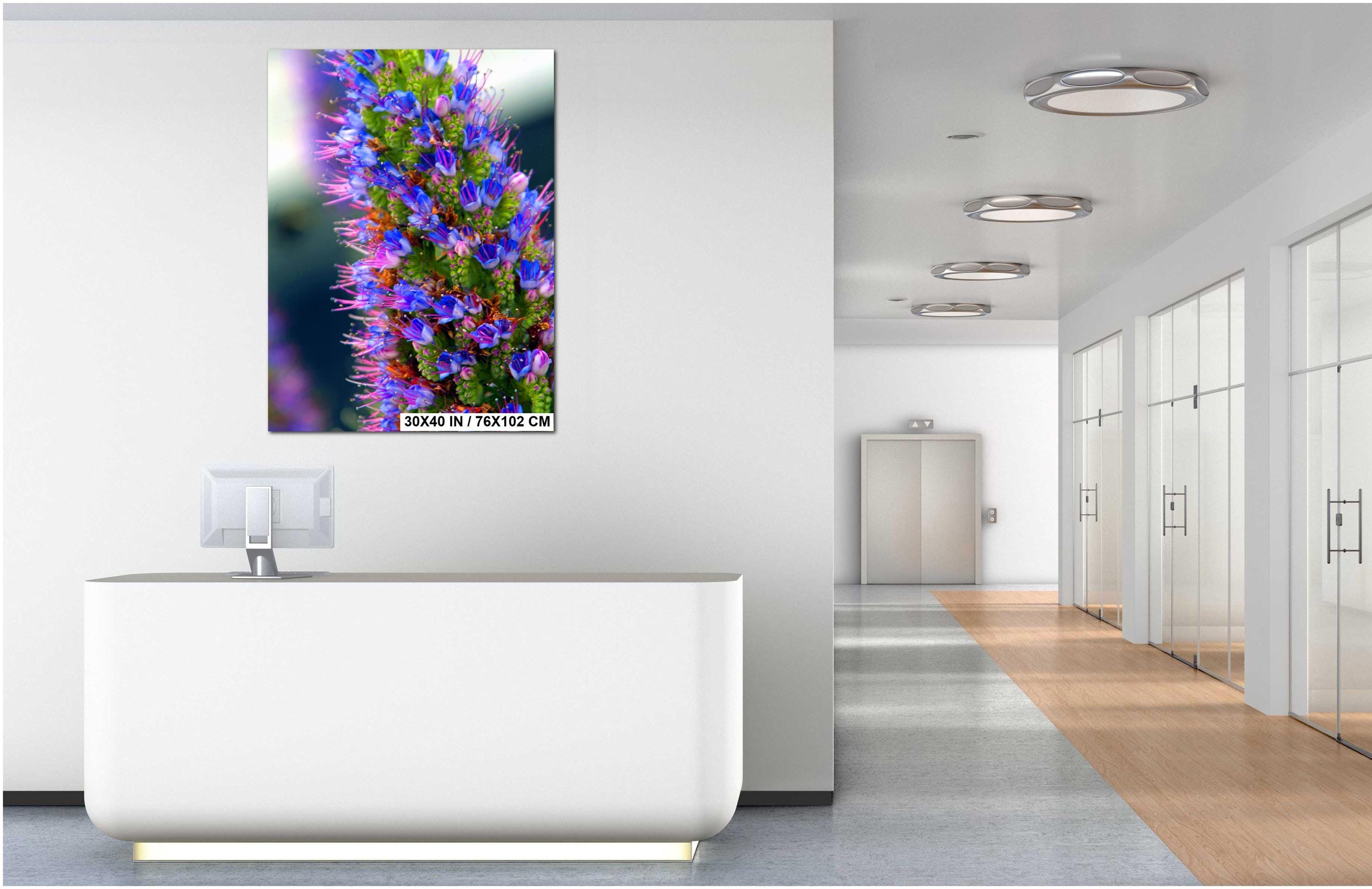 Texas Wildflower Wall Art – Colorful Floral Photography Print | Botanical Photo Print