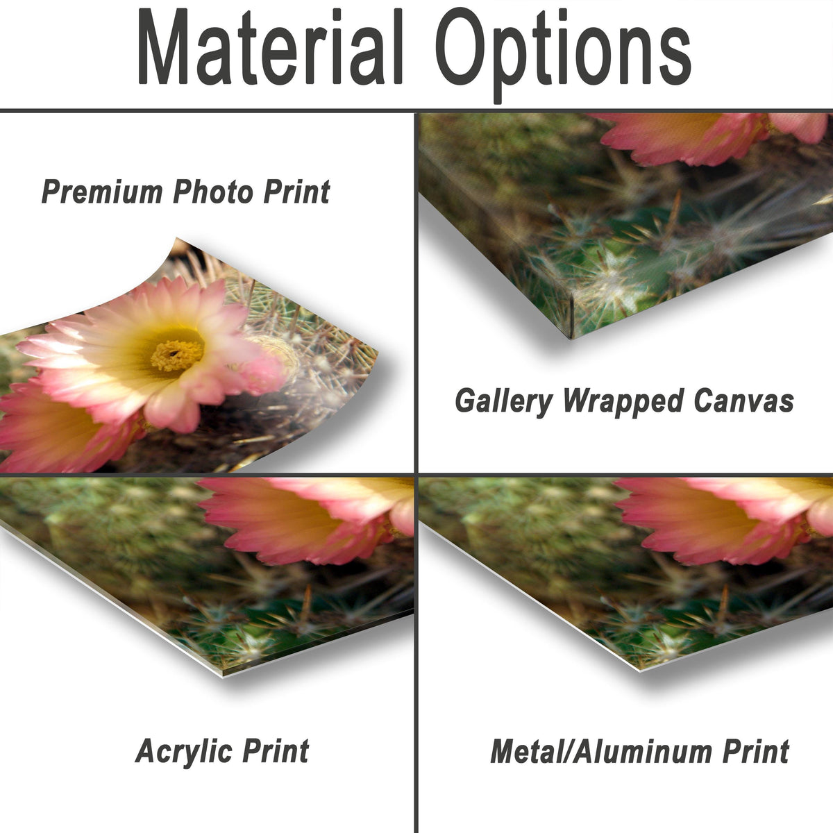 Texas Wildflower Wall Art – Vibrant Floral Photography Print on Archival Paper