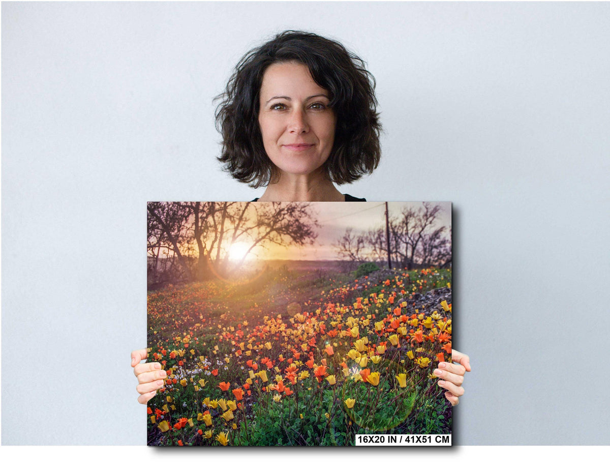California Poppies Print - Colorful Floral Wall Art | Vibrant Wildflower Photography