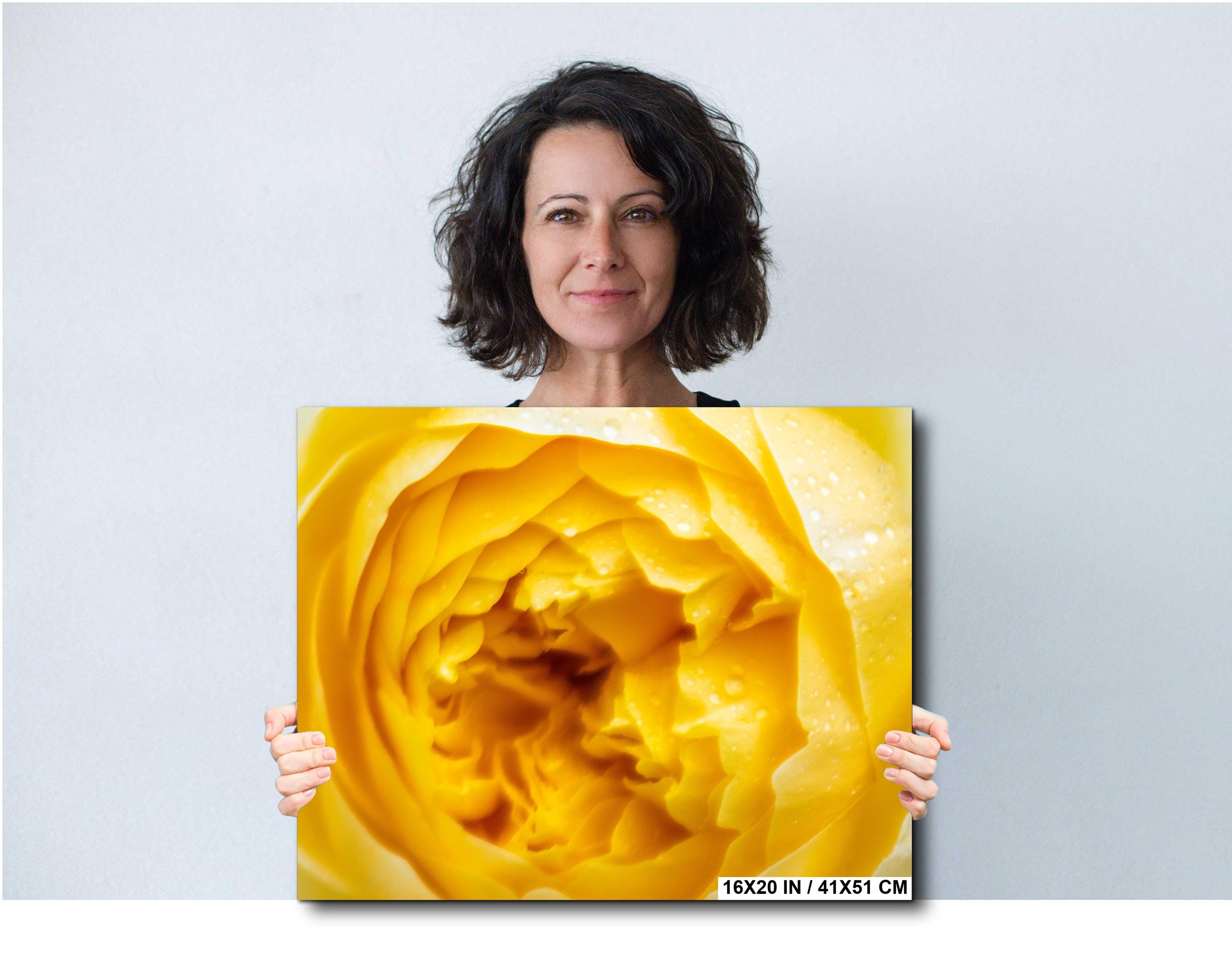 Yellow Rose Wall Art – Vibrant Floral Photography Print | Modern Home Decor