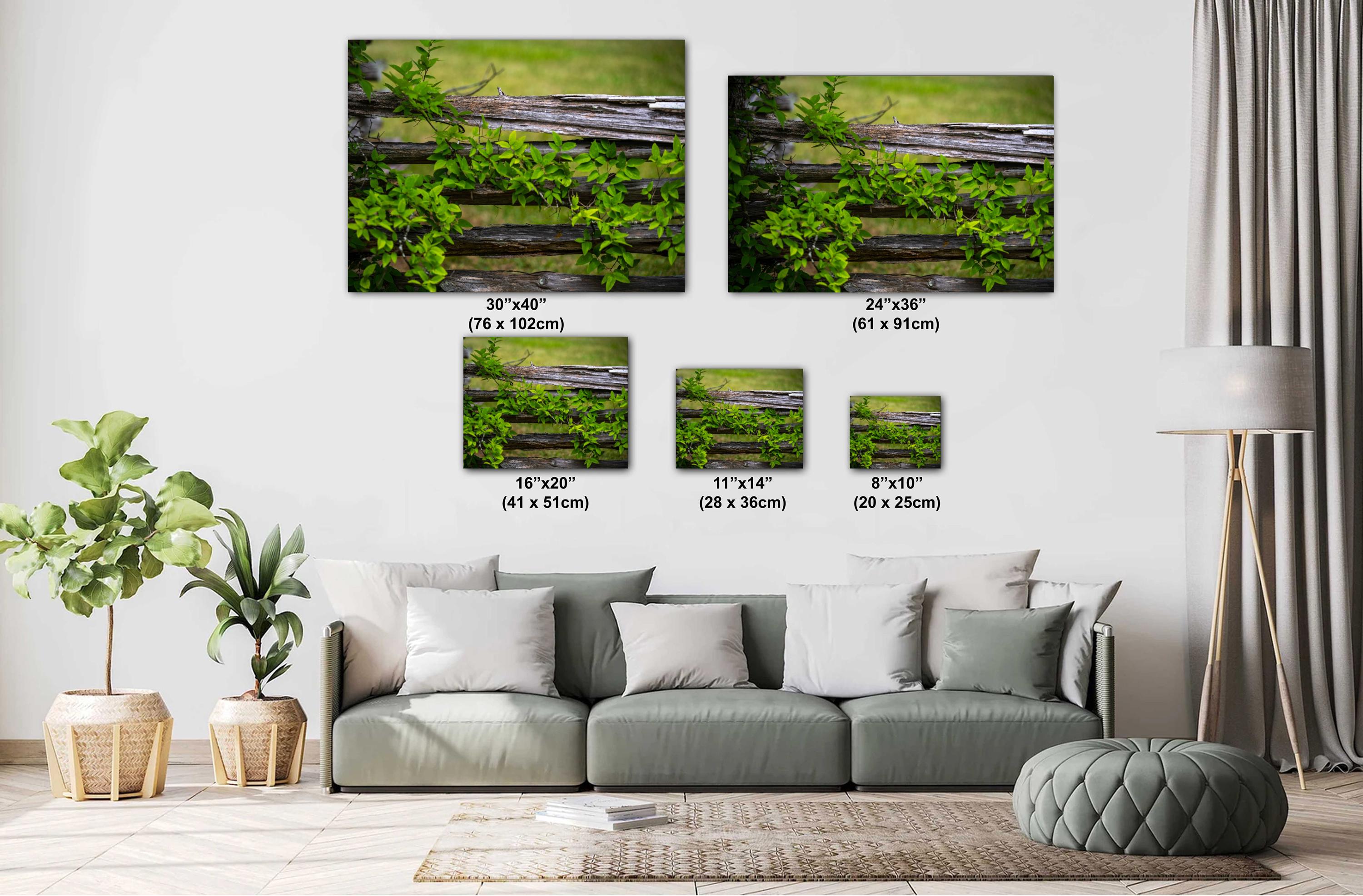 Virginia Landscape Print – Rustic Wall Art Featuring Vintage Rural Scene & Southern Charm Decor