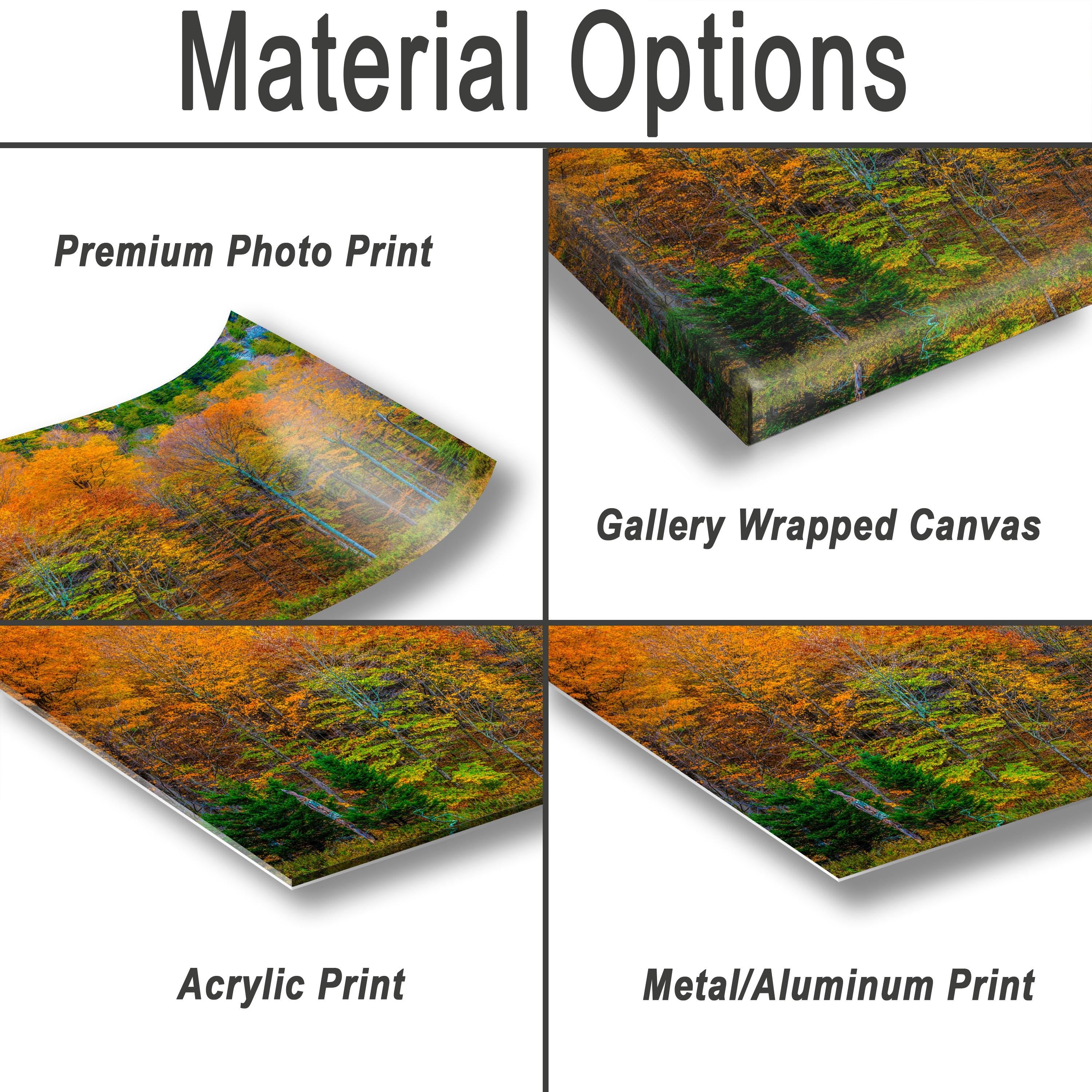 Adirondack Autumn Wall Art – Vibrant Fall Foliage Photography Print with Fiery Maple Leaves
