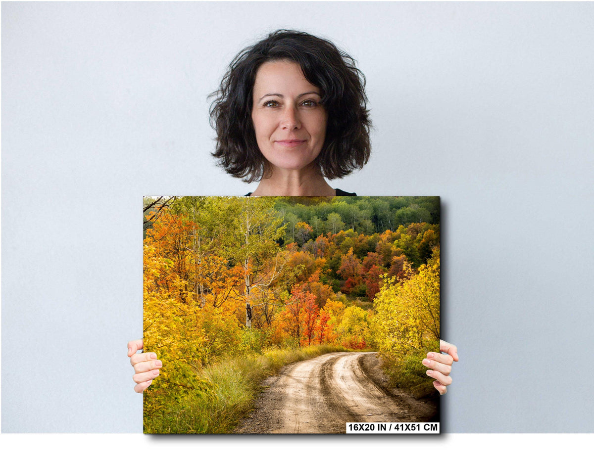Wasatch Mountain Photography - Utah Autumn Art | Scenic Fall Landscape Print