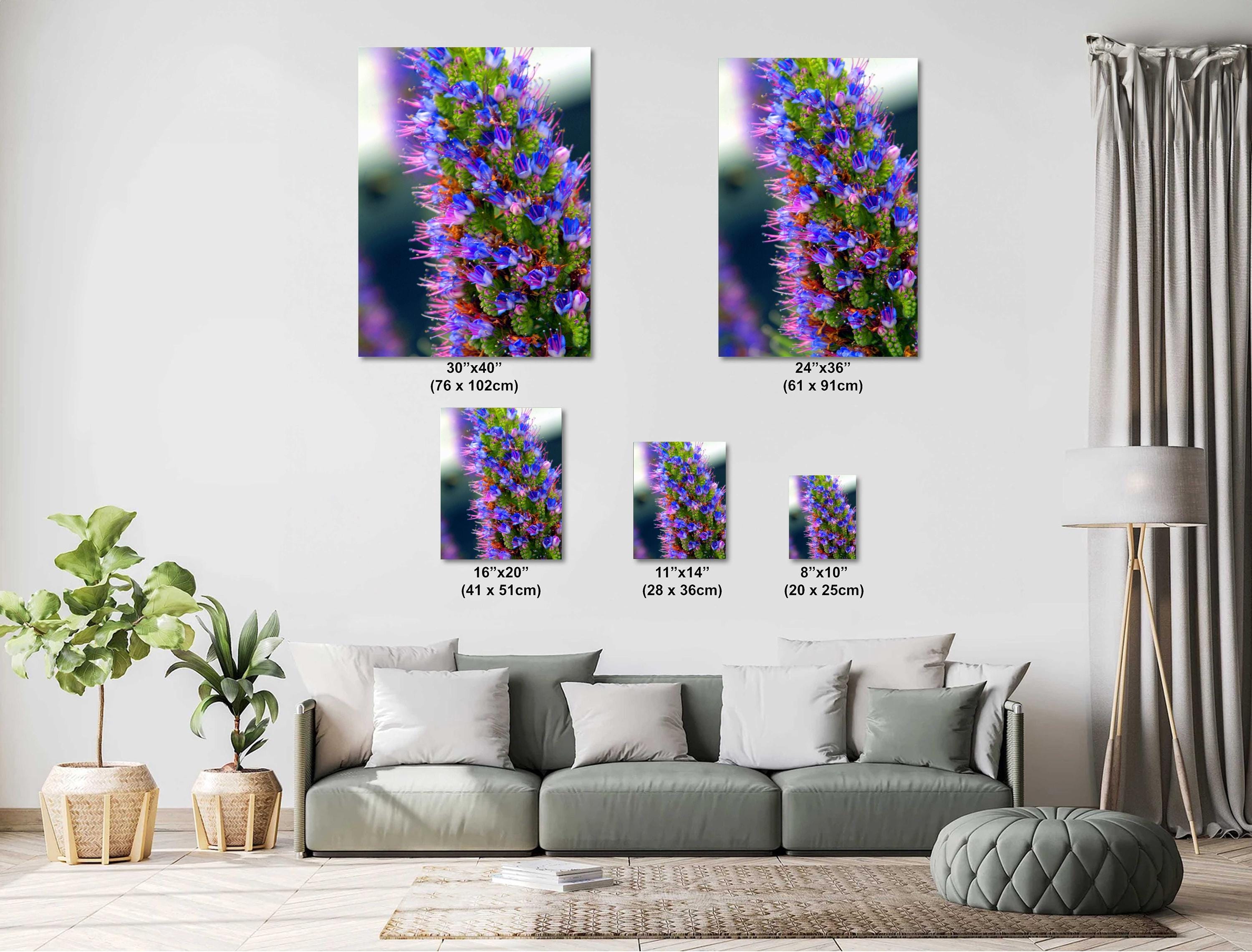 Texas Wildflower Wall Art – Colorful Floral Photography Print | Botanical Photo Print