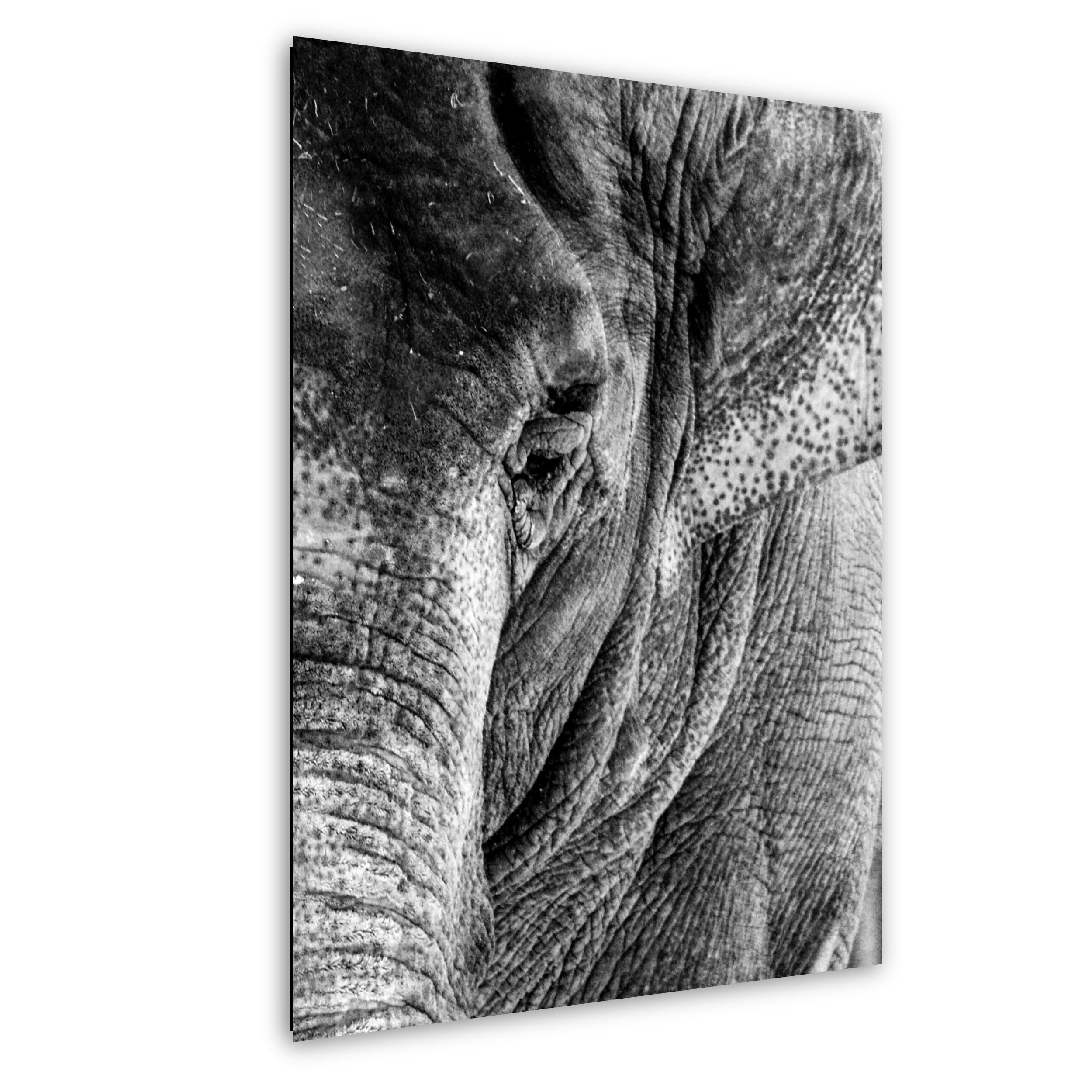 Elephant Wall Art – Majestic Wildlife Print | African Safari Home Decor