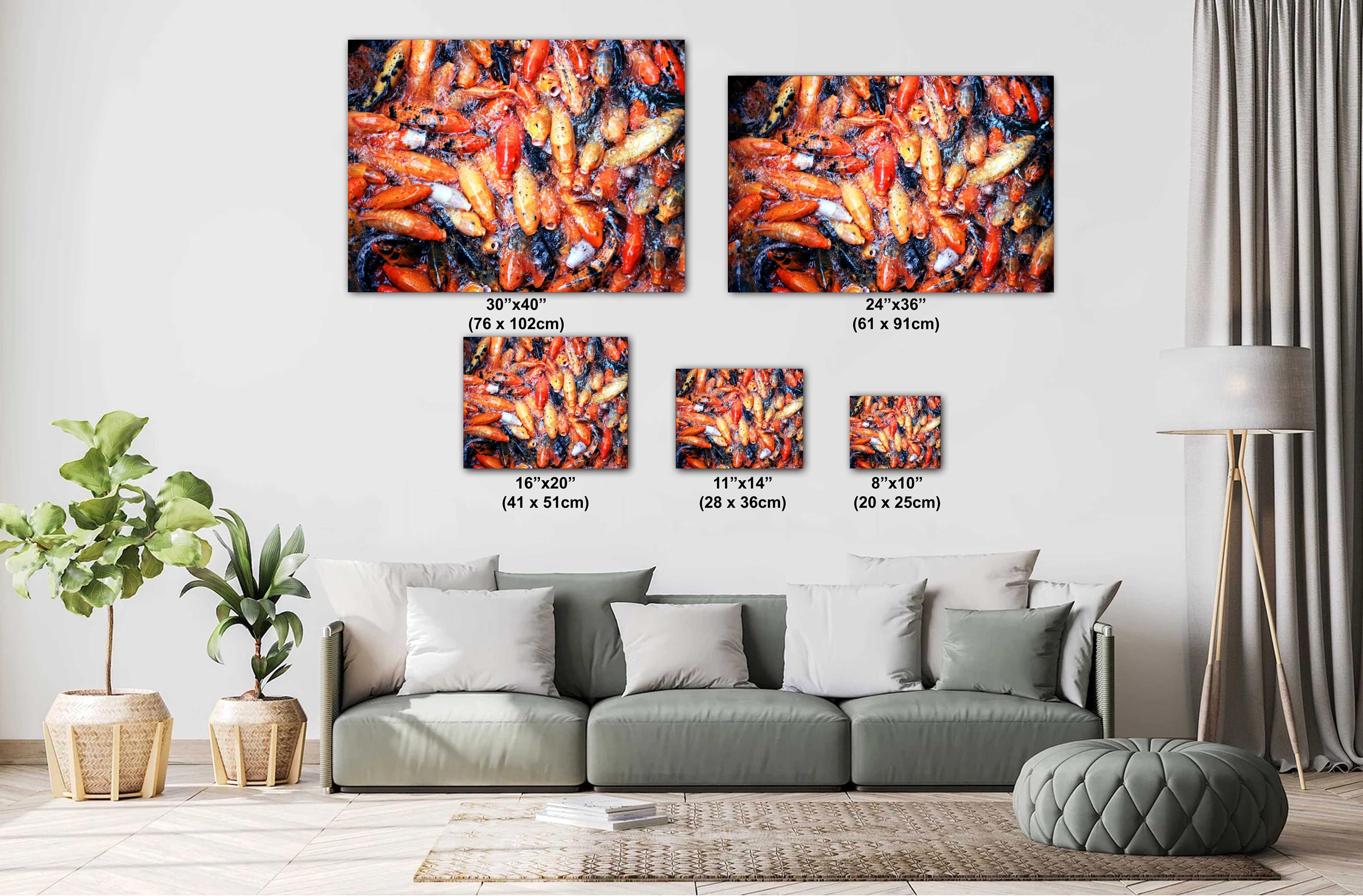 Hawaiian Koi Art Print – Serene Temple Garden Wall Art with Tranquil Koi Fish Decor