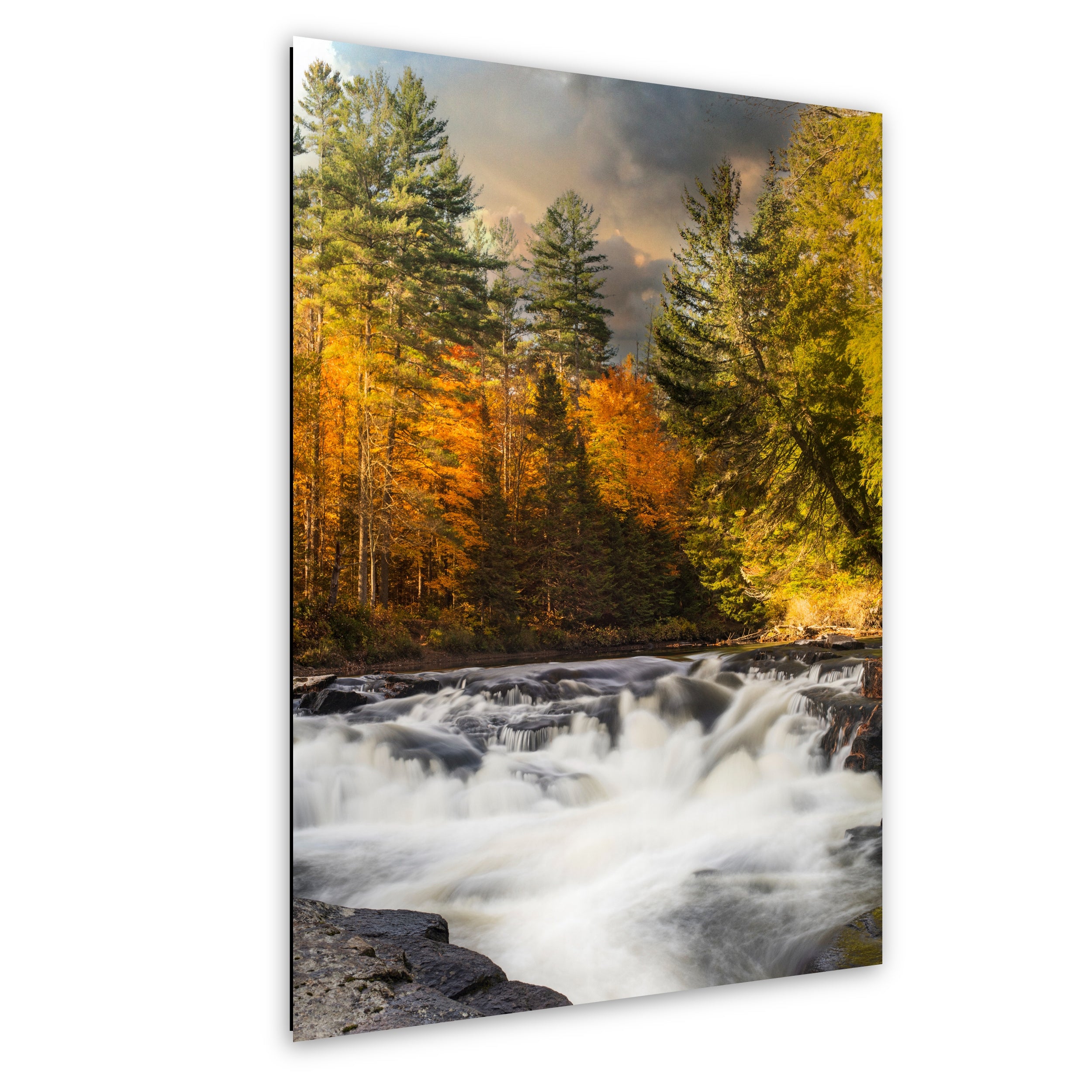 When Autumn Hushed the River: A Soft Descent Through Pines