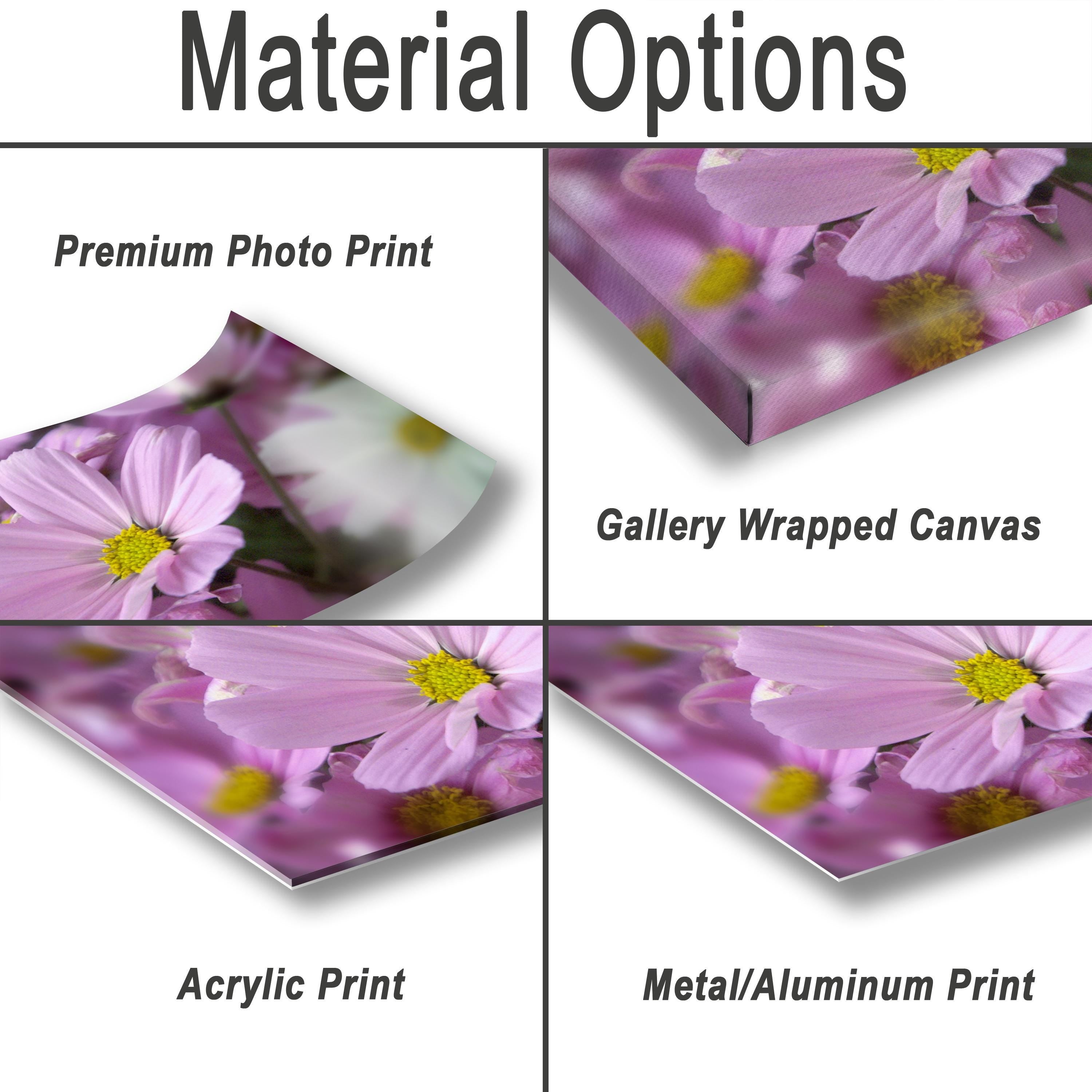 Floral Photography Print - Colorful Flower Wall Art for Living Room & Office Decor