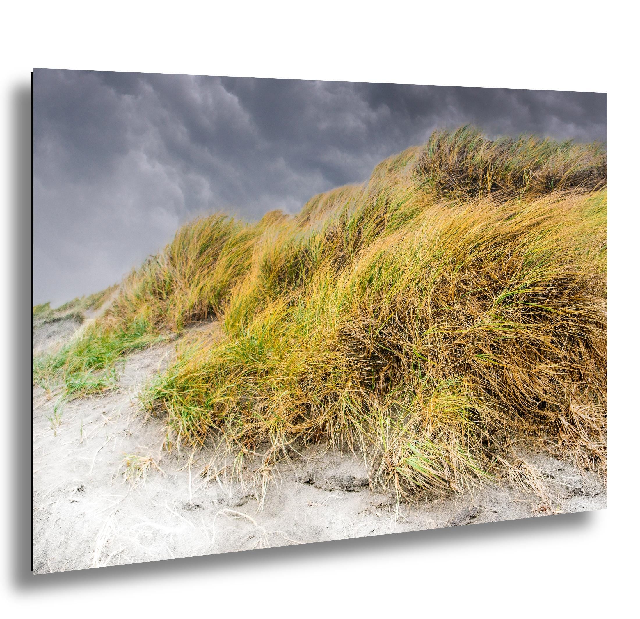 Outer Banks Beach Print - Coastal Landscape Art | Nature Wall Decor