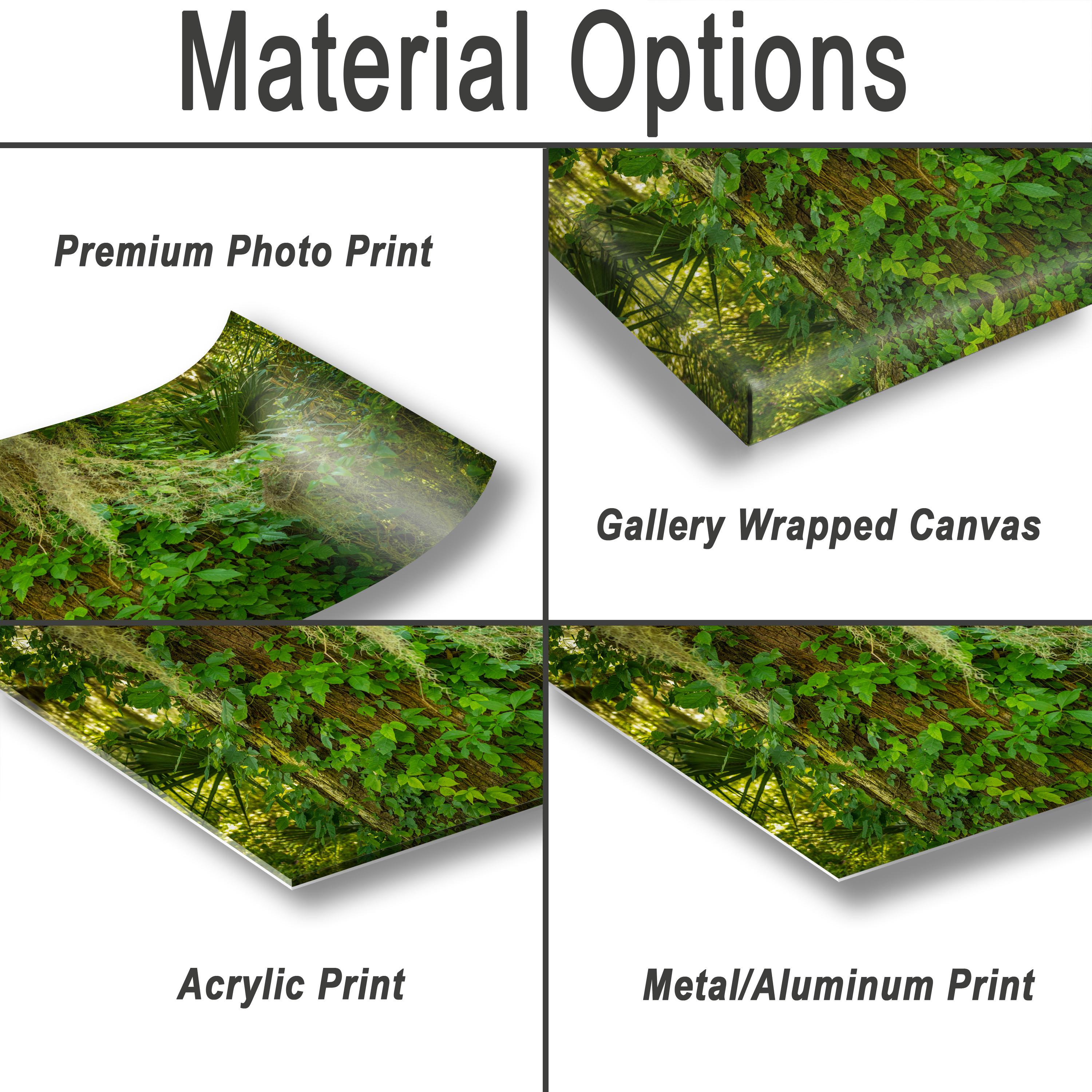 Savannah Photography Print – Southern Landscape Art | 12x18 Archival Paper Wall Decor