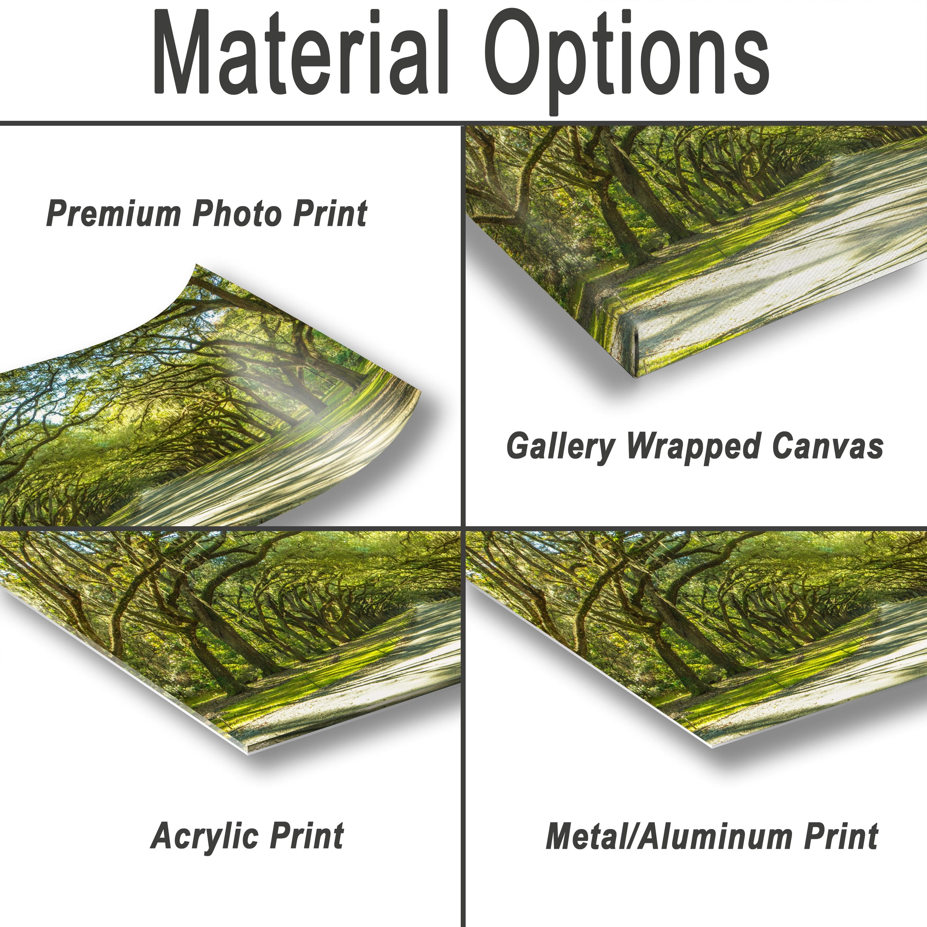 Savannah Photography Print – Wormsloe Plantation Art | Coastal Georgia Landscape