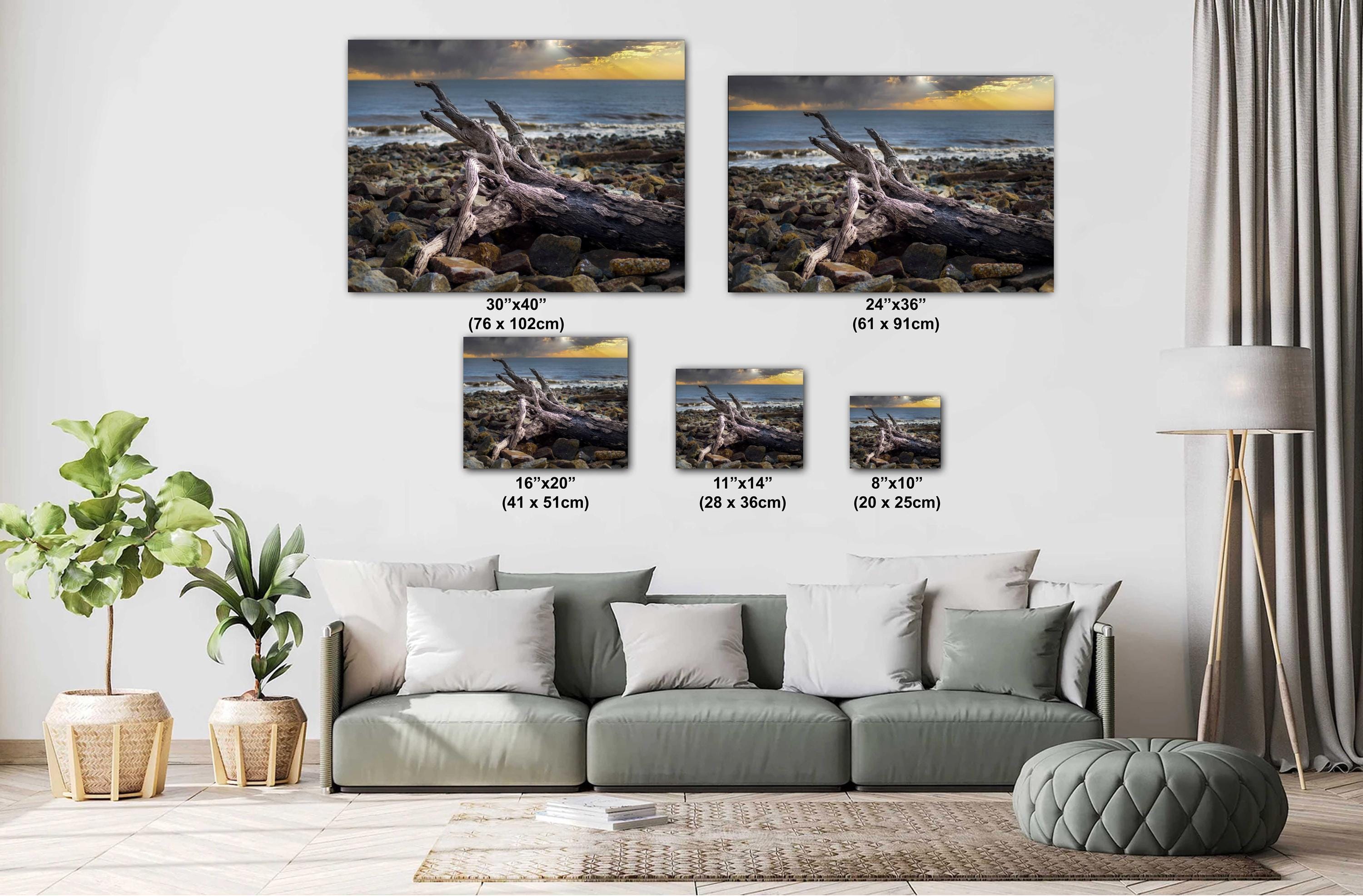 Driftwood Beach Photography Print – Georgia Coastal Landscape Art | Seaside Wall Decor