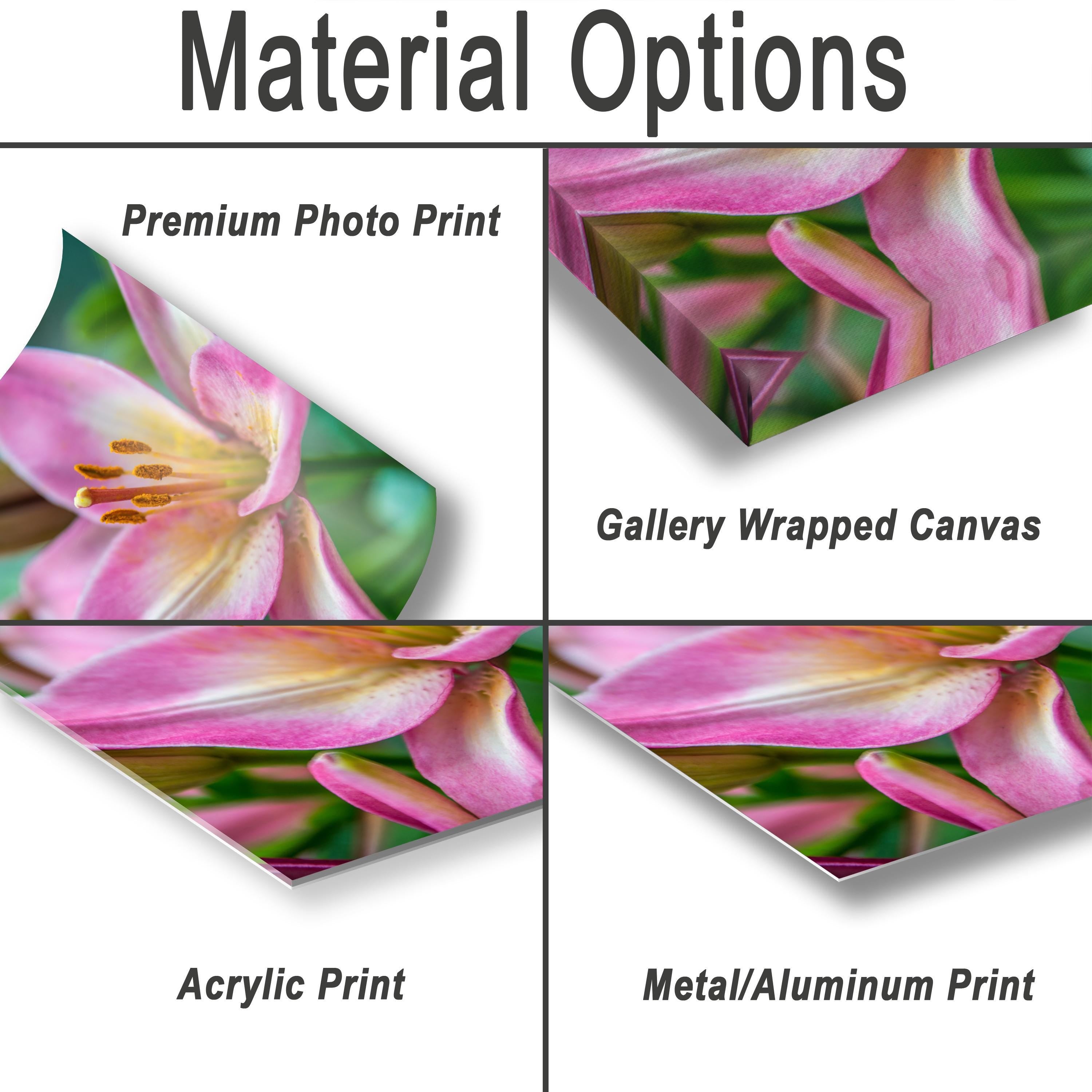 Texas Wildflower Art - Colorful Floral Wall Decor | Vibrant Botanical Photo Print