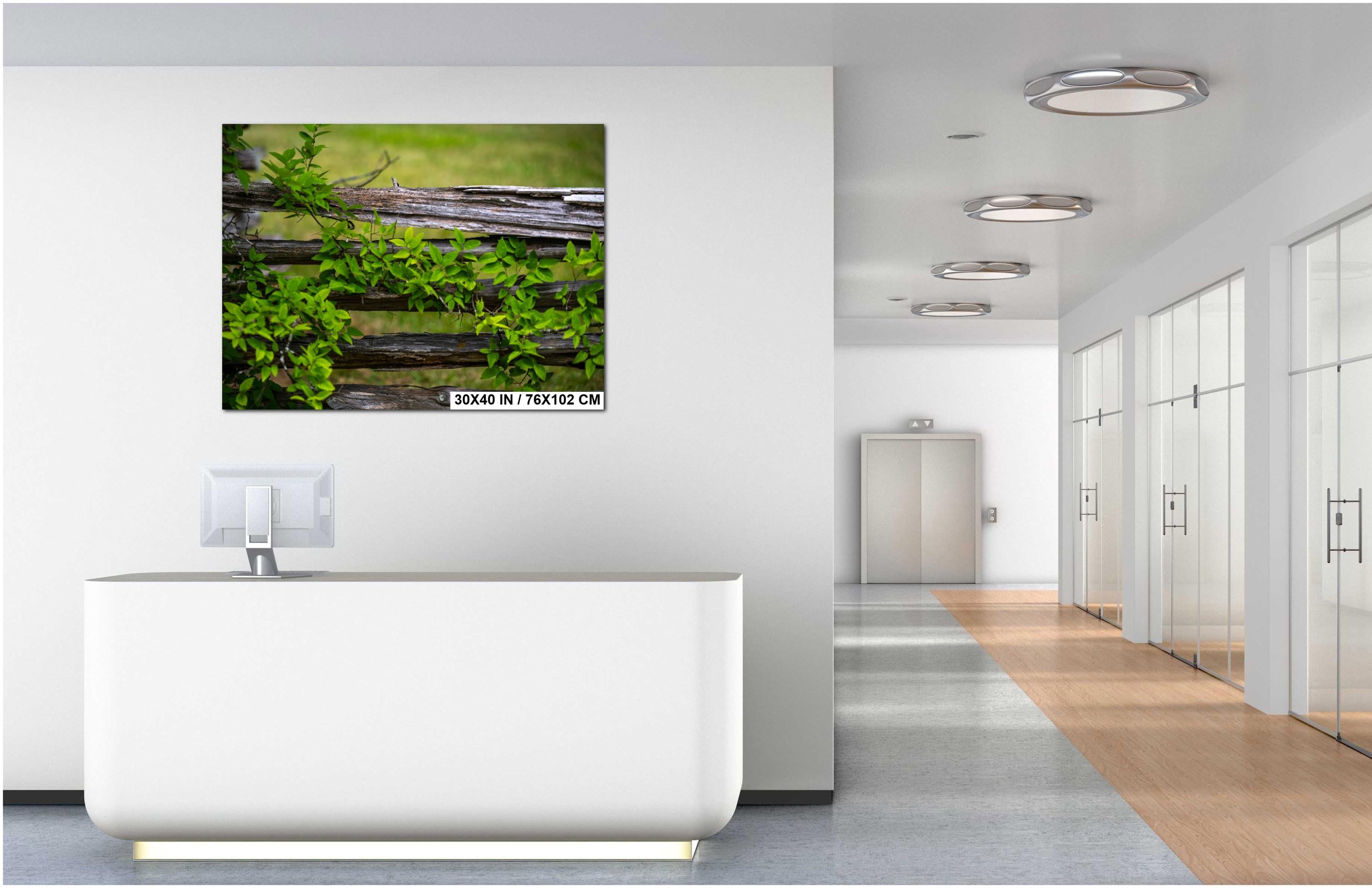 Virginia Landscape Print – Rustic Wall Art Featuring Vintage Rural Scene & Southern Charm Decor