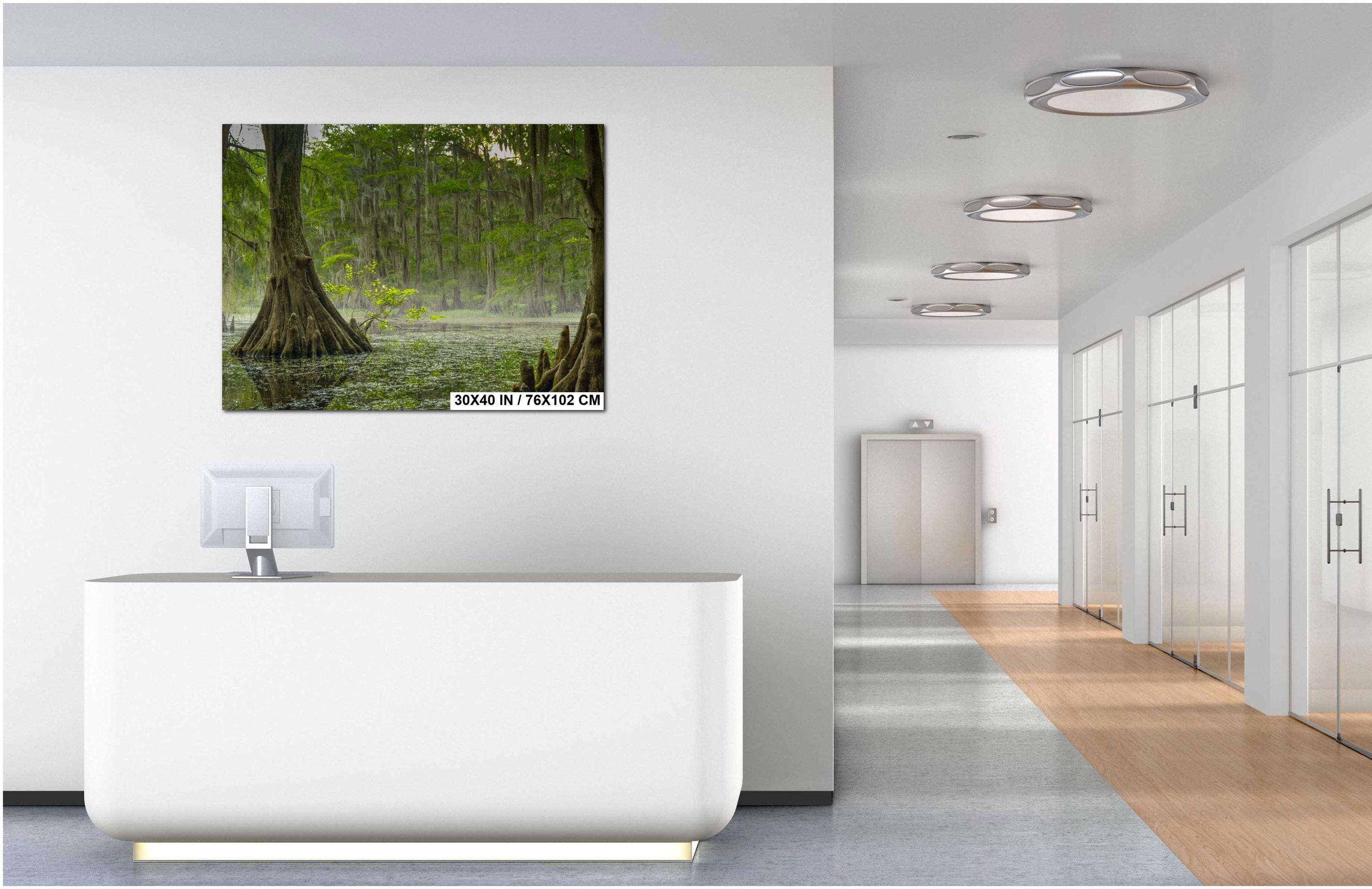 Caddo Lake Wall Art – Misty Lake Artwork | Nature Wall Decor For Home & Office