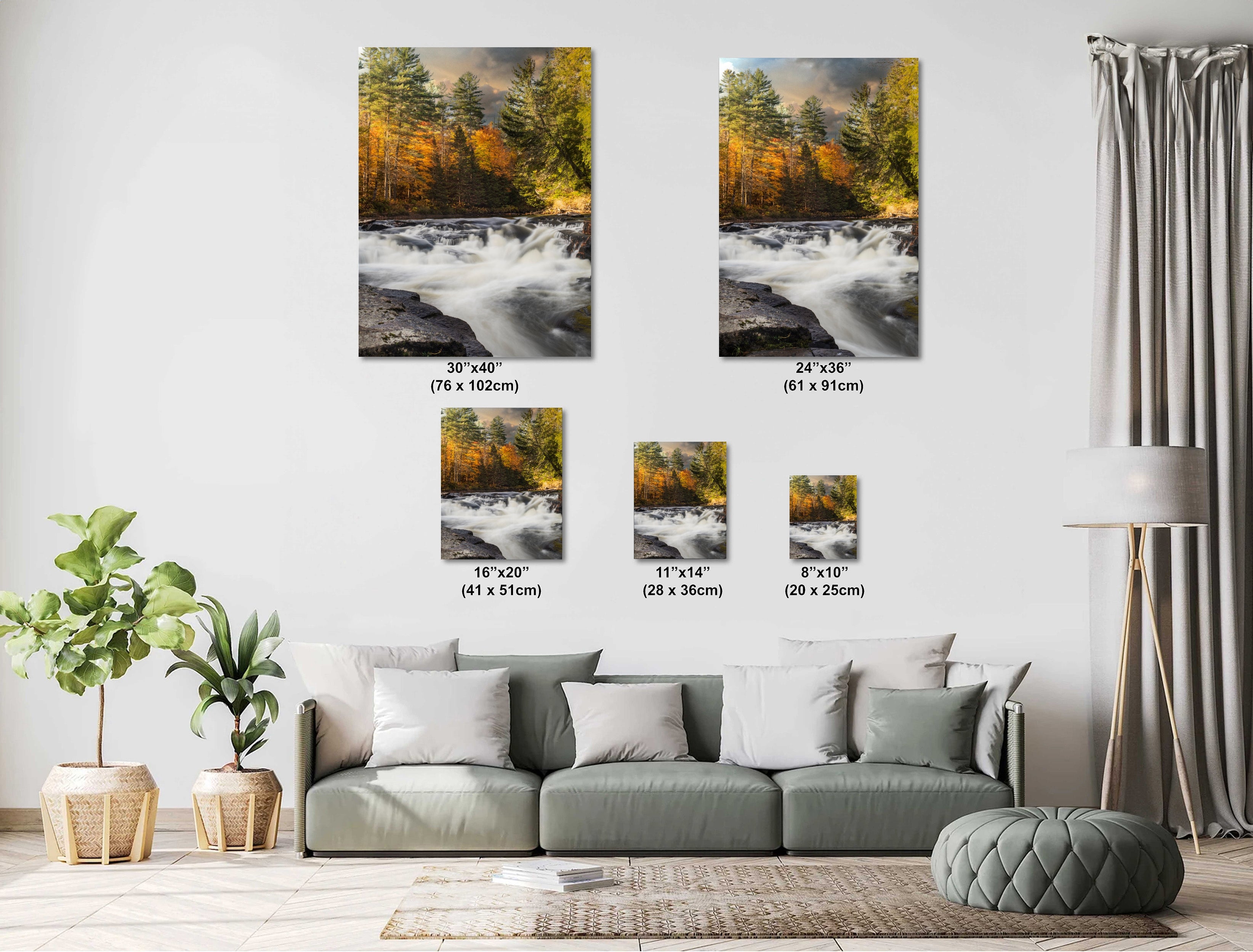 When Autumn Hushed the River: A Soft Descent Through Pines