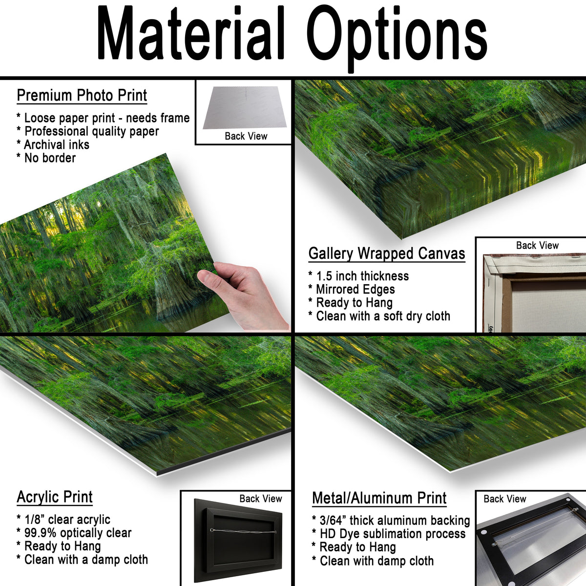 Serene Swamp Wall Art — Cypress Trees, Moss and Water Reflection