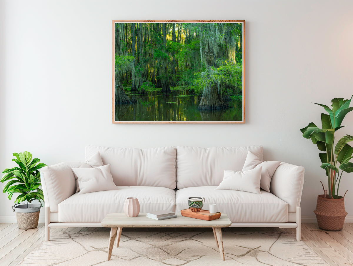 Serene Swamp Wall Art — Cypress Trees, Moss and Water Reflection