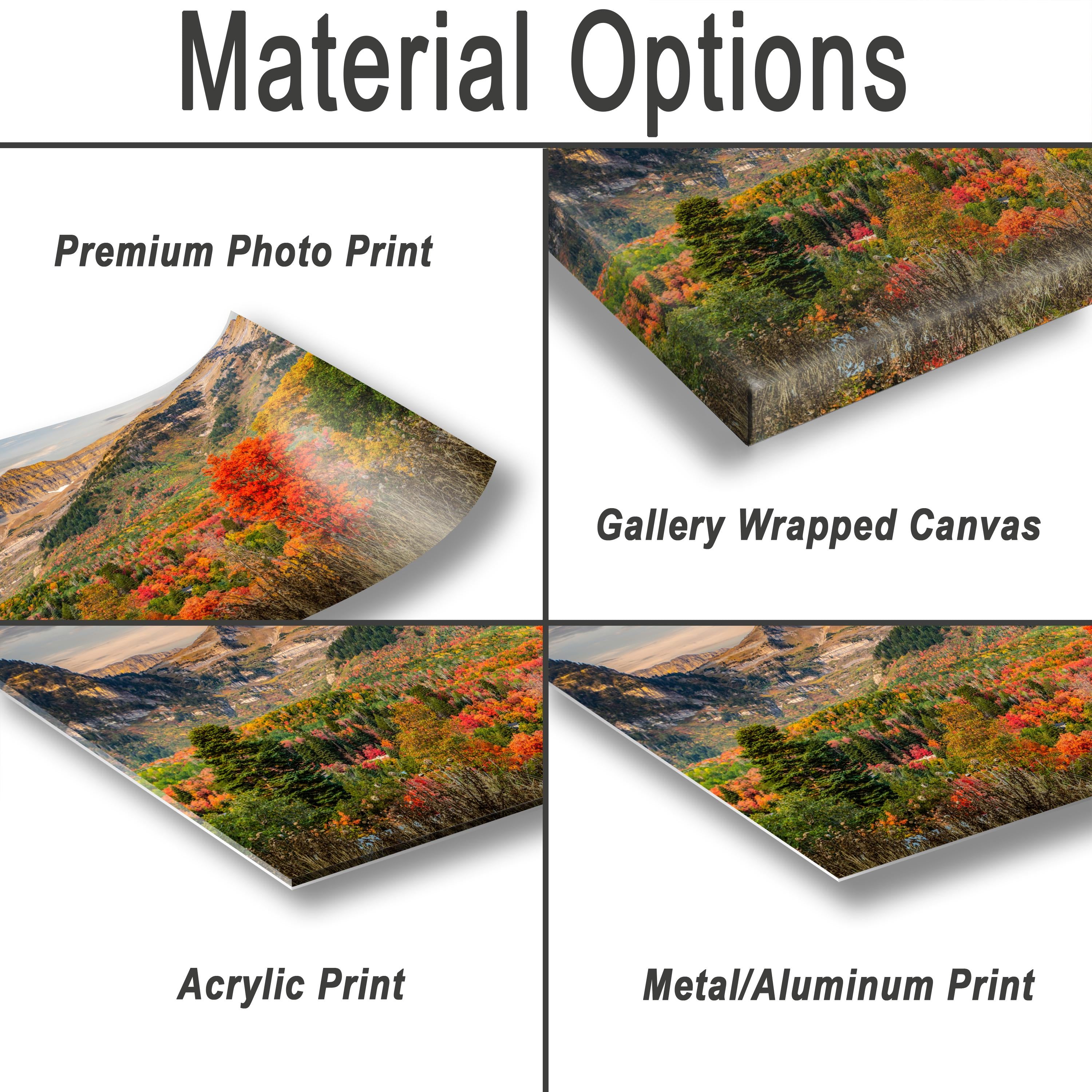 Wasatch Autumn Print – Vibrant Leaf Print & Quaking Aspen Art Mountain View